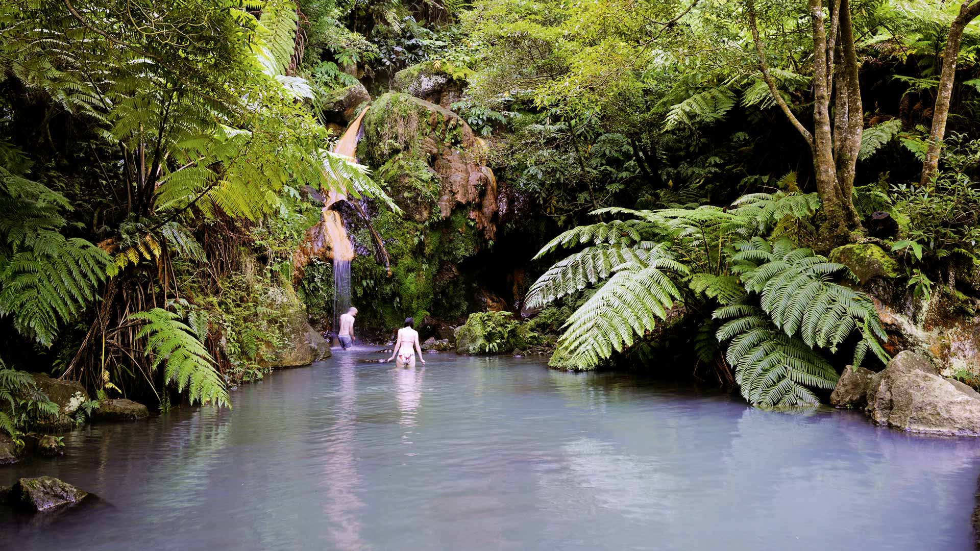 Lagoa do Fogo Volcano & Hot Springs Biologist-Led Tour