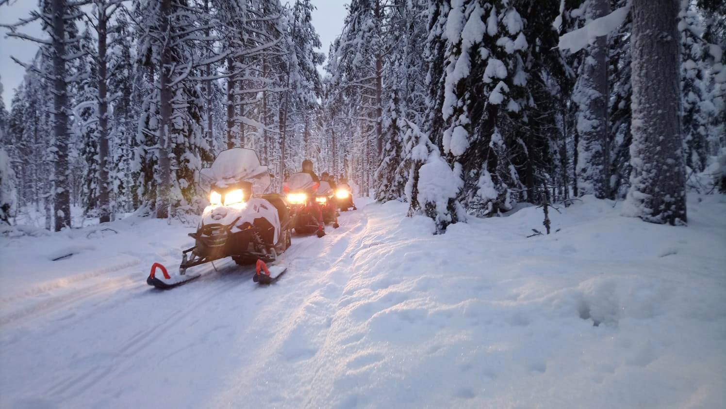 Snowmobile Adventure Through Frozen Wilderness