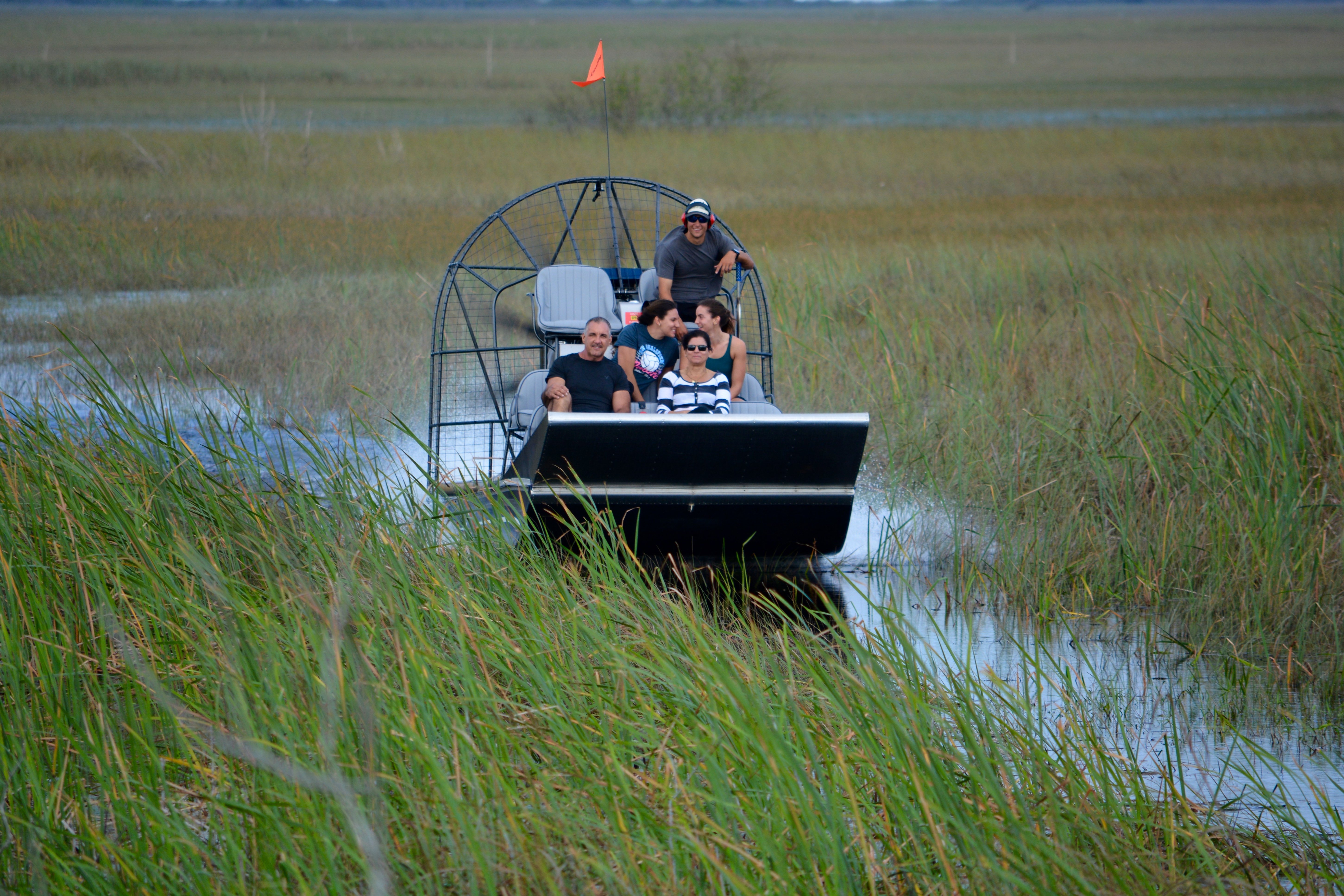 Intimate Everglades Airboat Eco-Tour