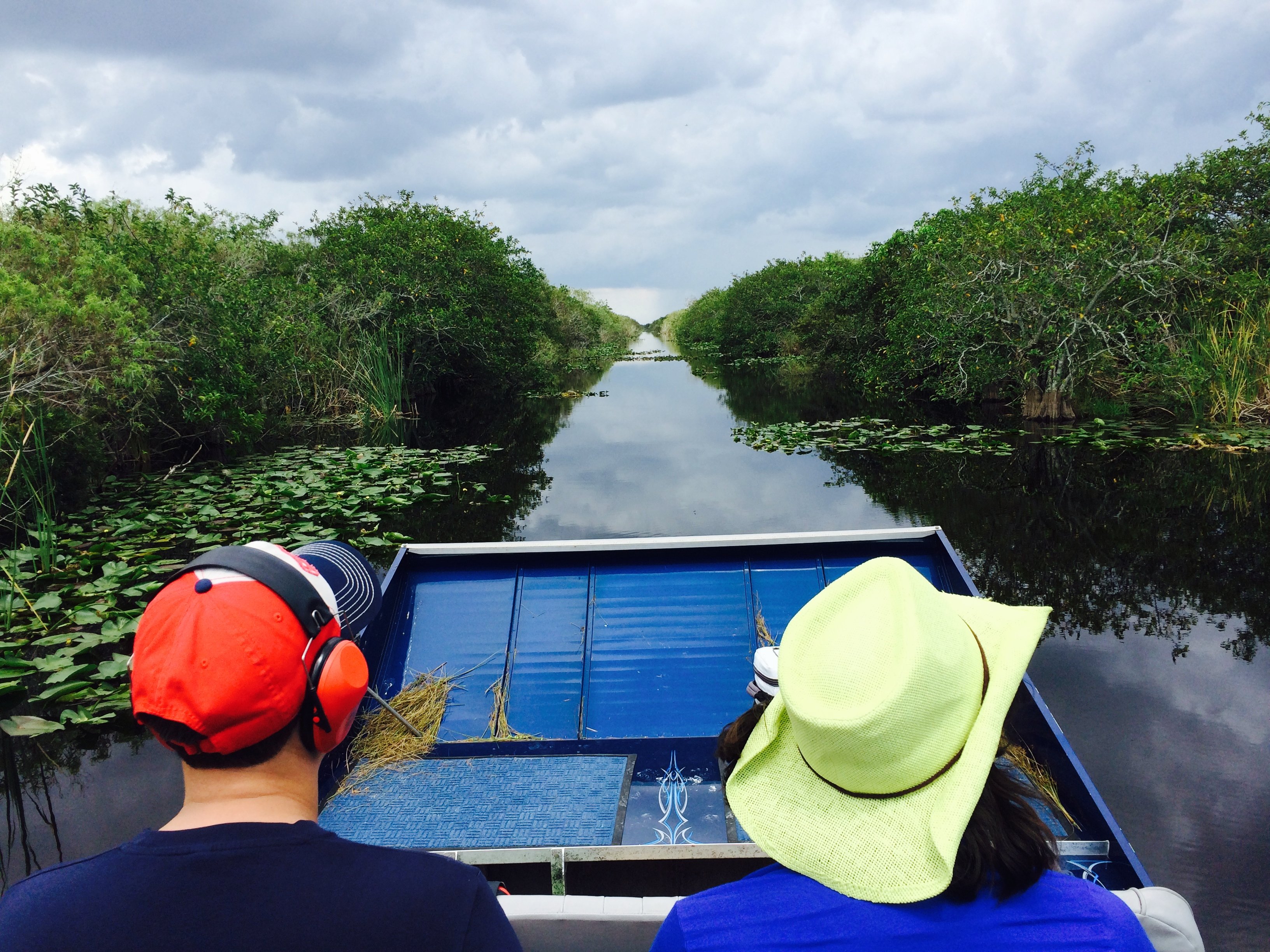 Intimate Everglades Airboat Eco-Tour