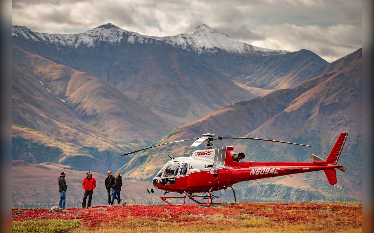 Denali Helicopter & Guided Hike Experience
