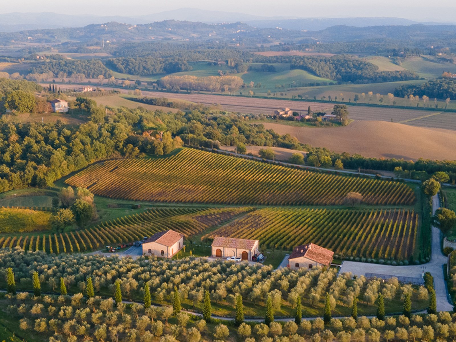 Poggio del Moro Organic Winery Tour & Tasting in Val d'Orcia