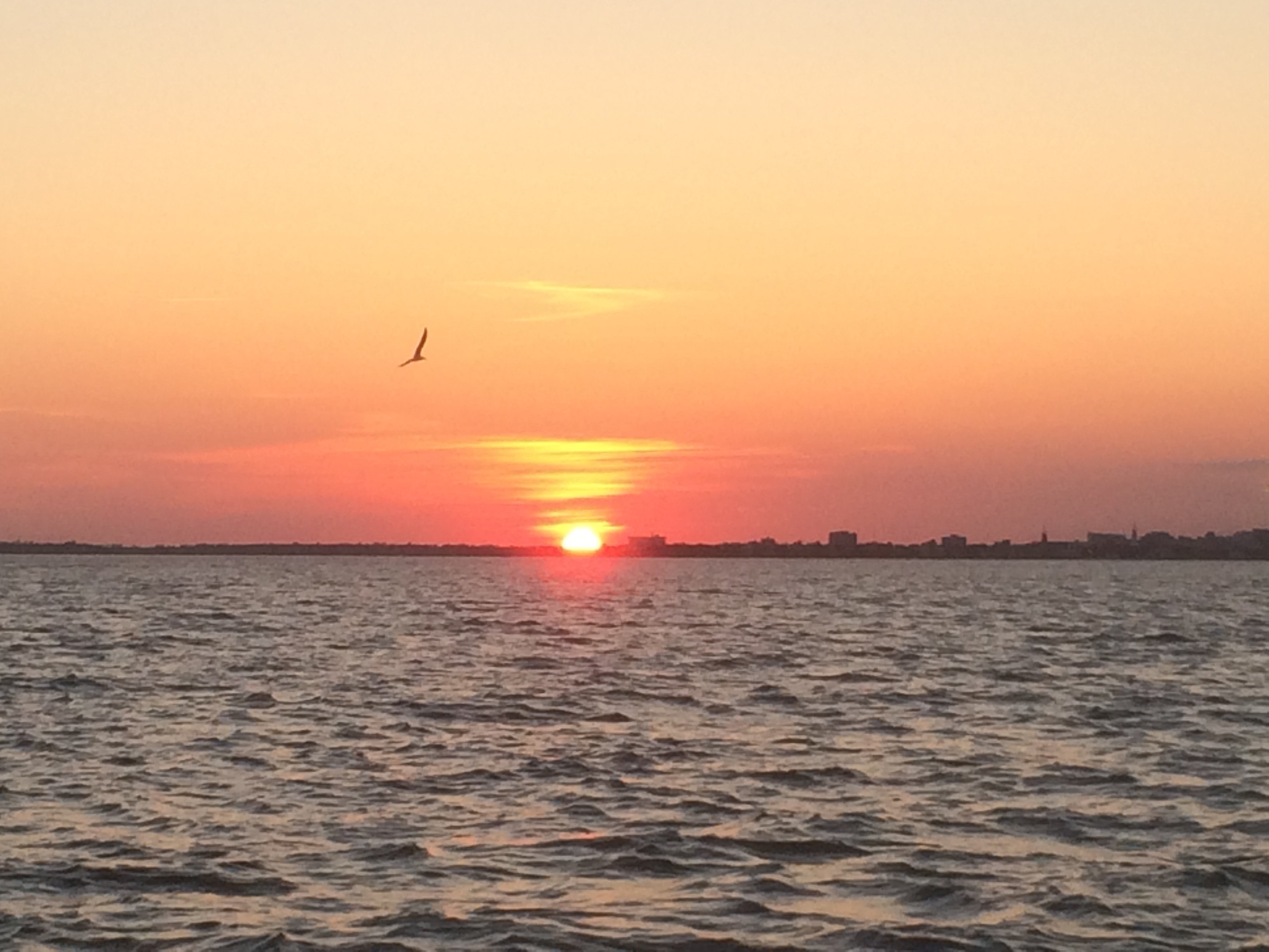 Charleston Sunset Harbor Cruise by Power Catamaran