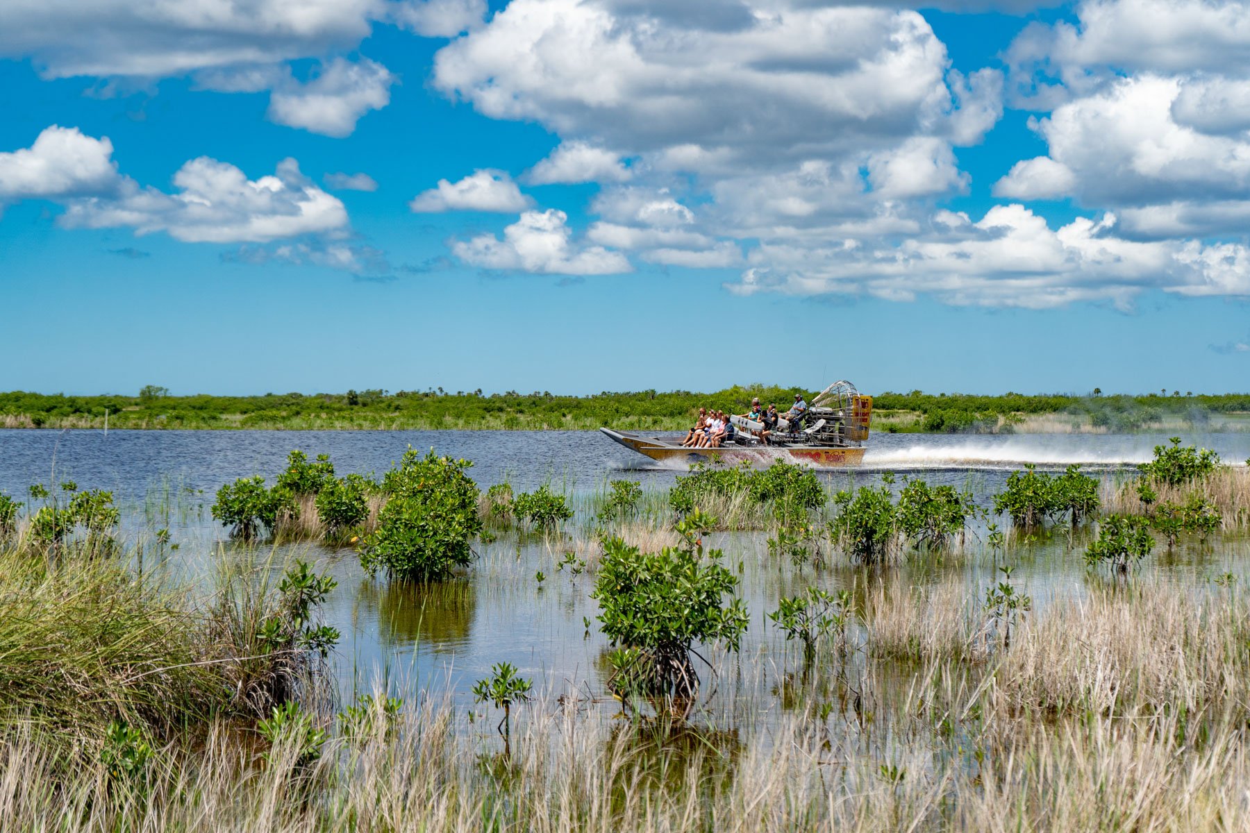 Everglades Kayak & Airboat Adventure