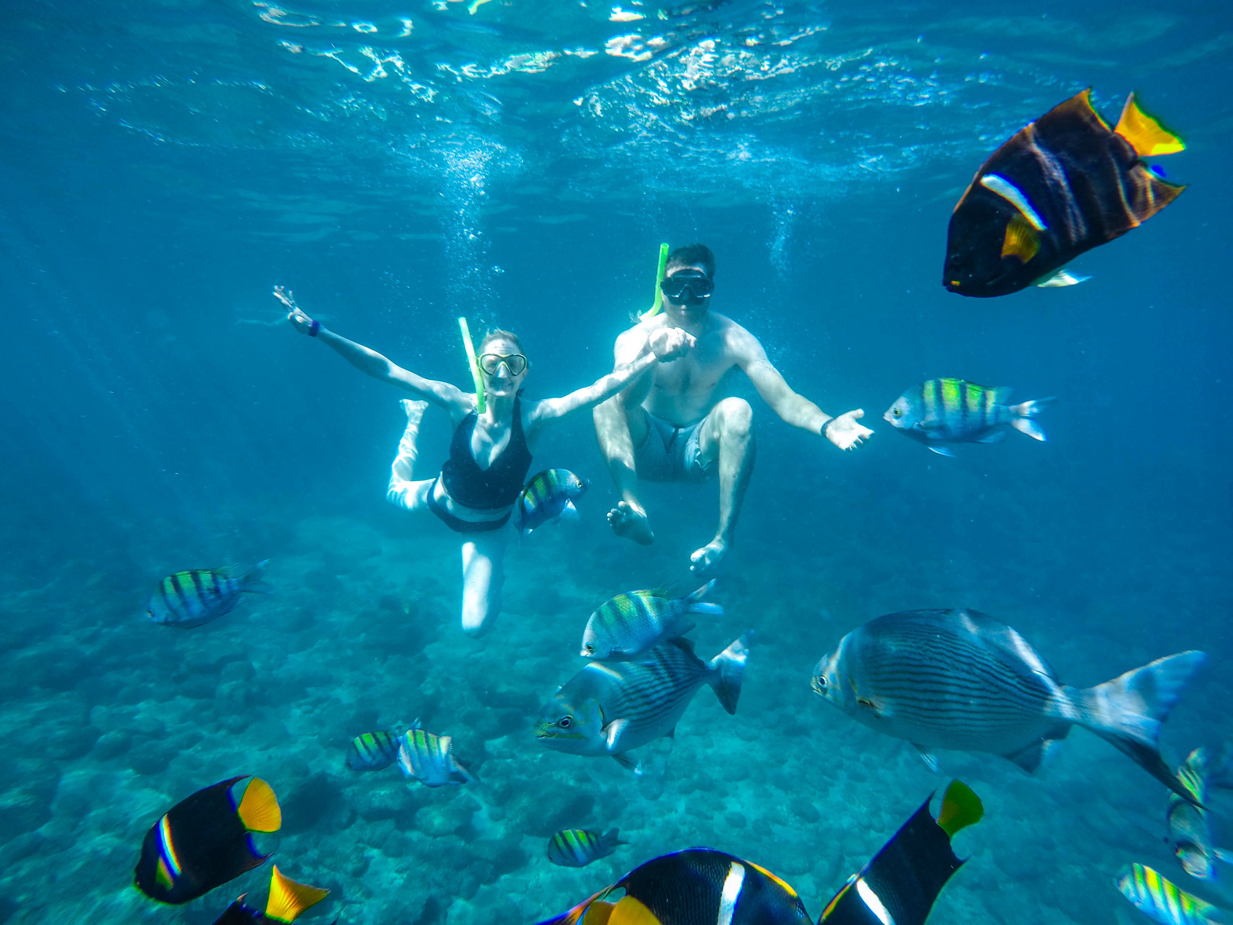 Cabo Catamaran Snorkel & Sightseeing with Open Bar
