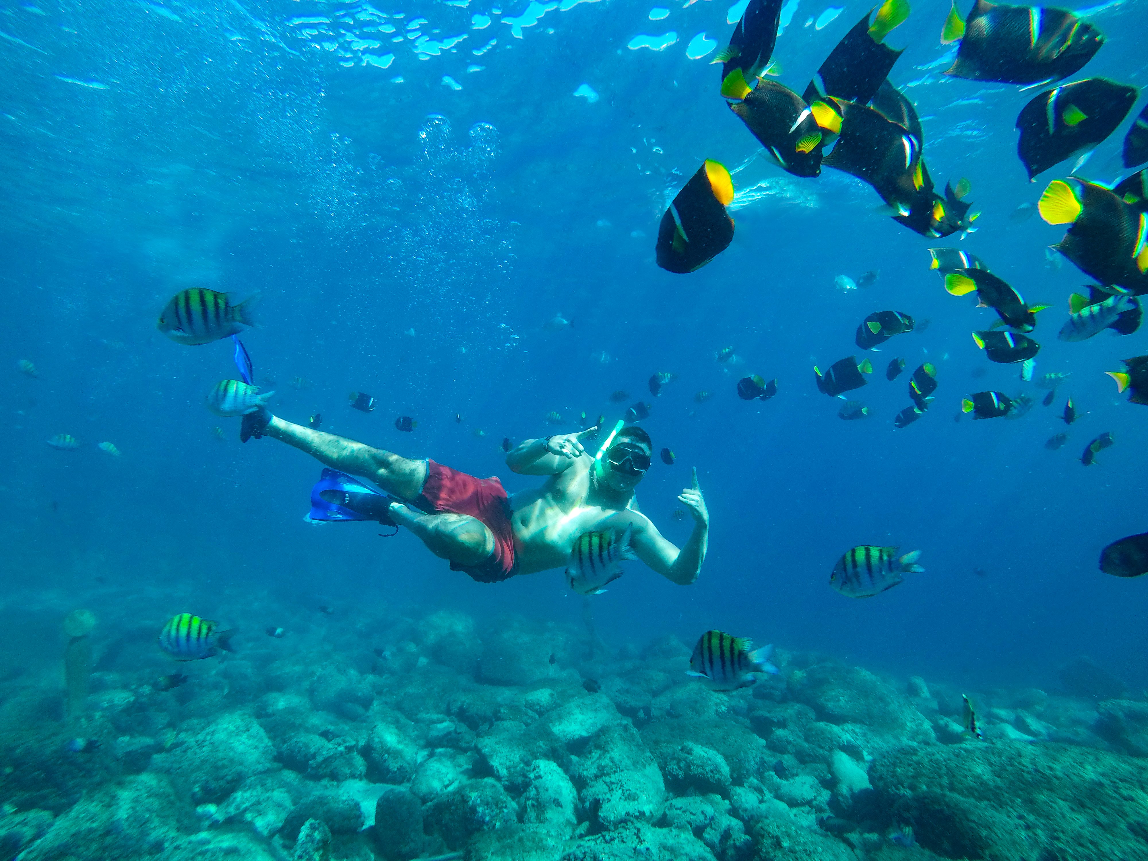 Cabo Catamaran Snorkel & Sightseeing with Open Bar