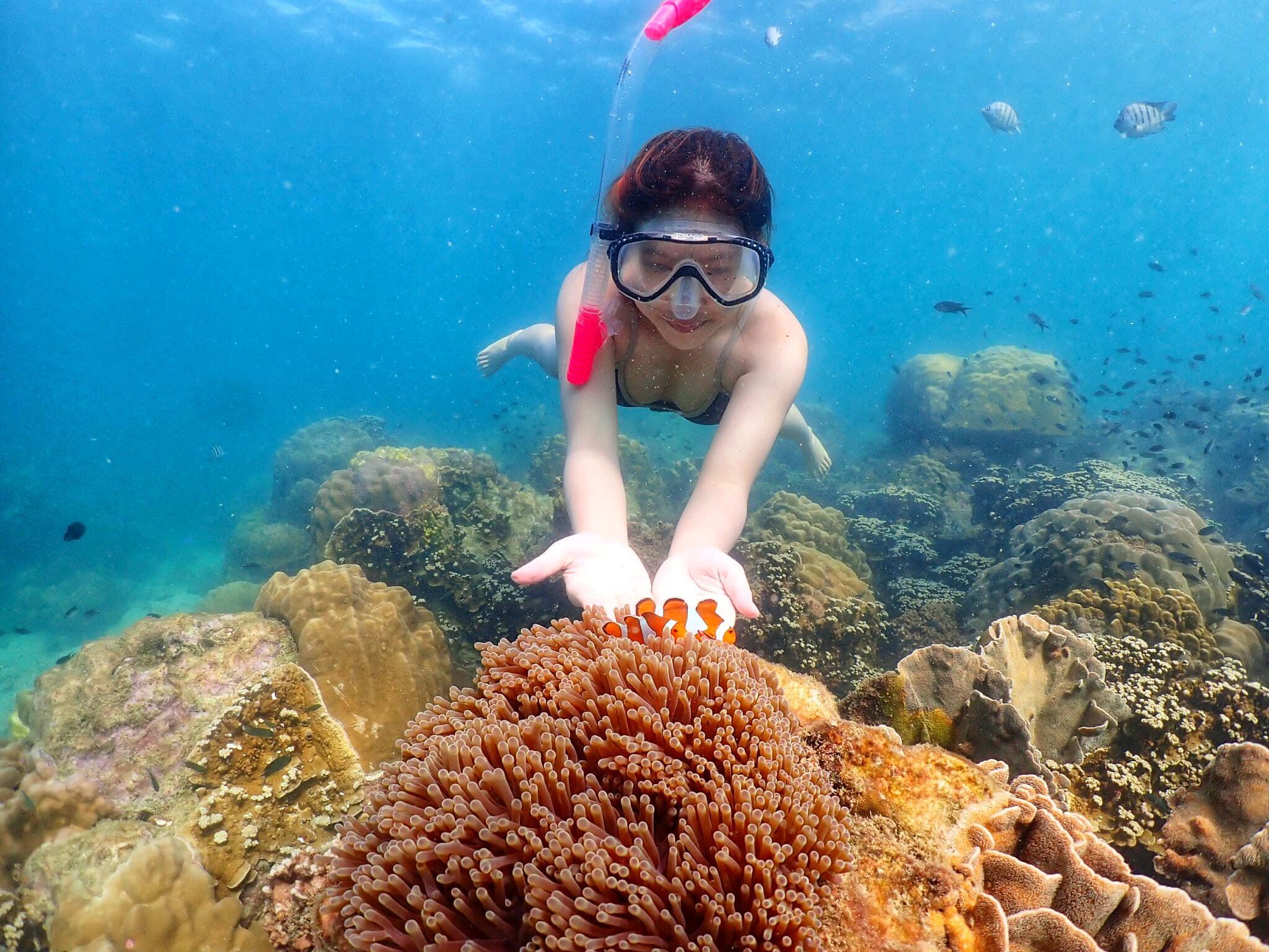 Nemo Island Snorkeling Excursion from Pattaya