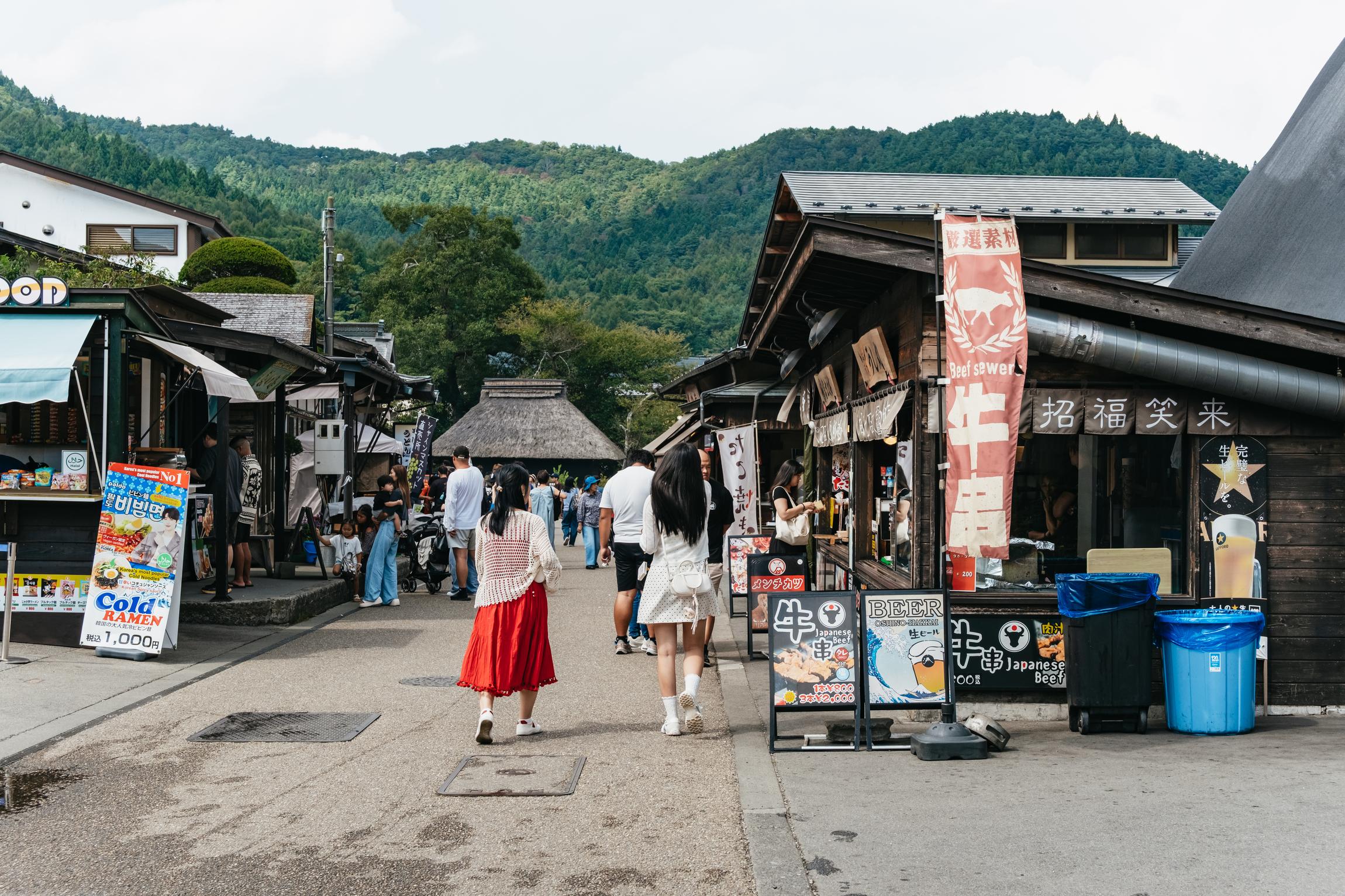 Tokyo Day Trip: Mt. Fuji, Kamakura Big Buddha & Lake Ashi Cruise