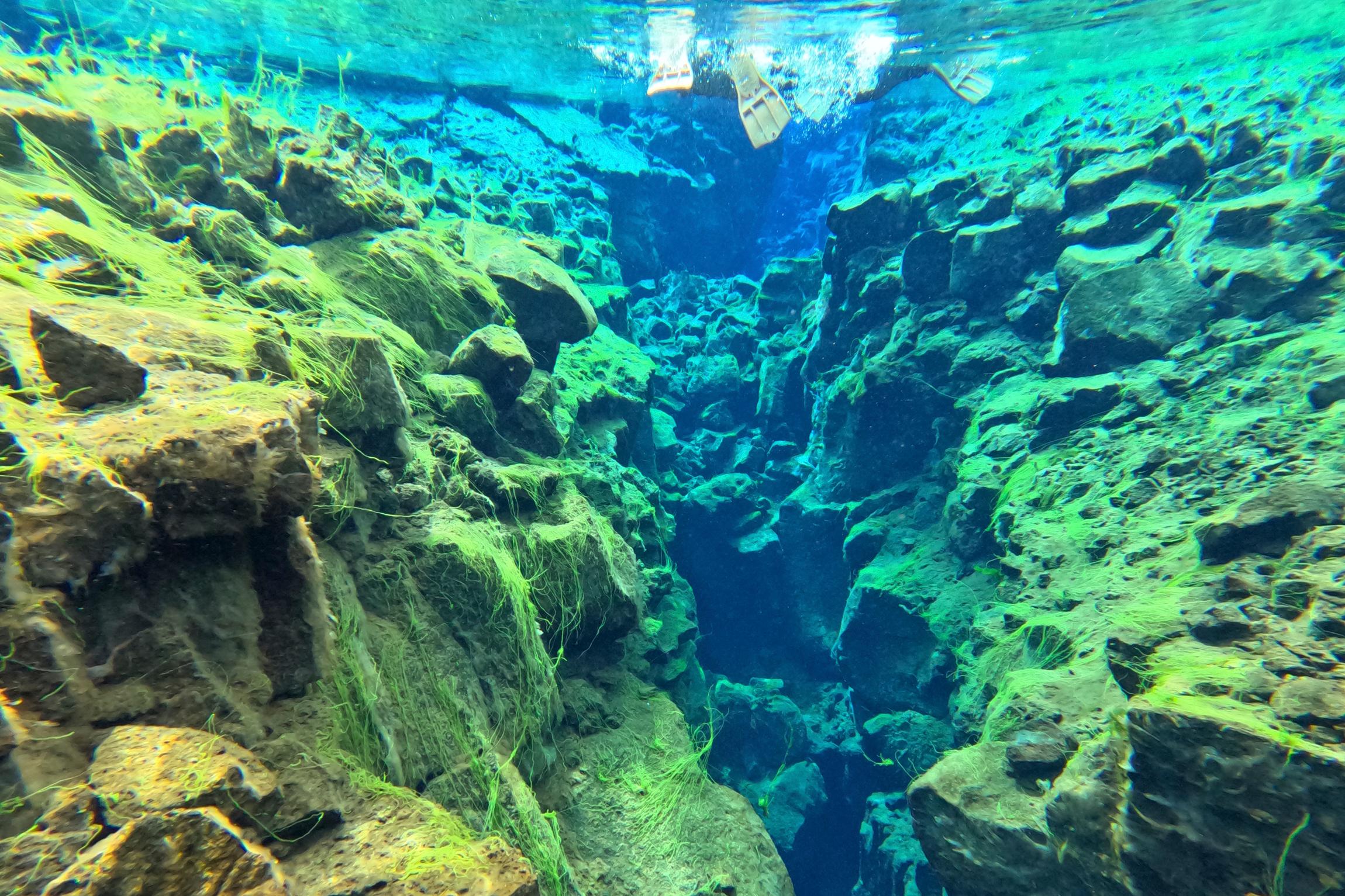 Golden Circle & Silfra Snorkeling Adventure from Reykjavík