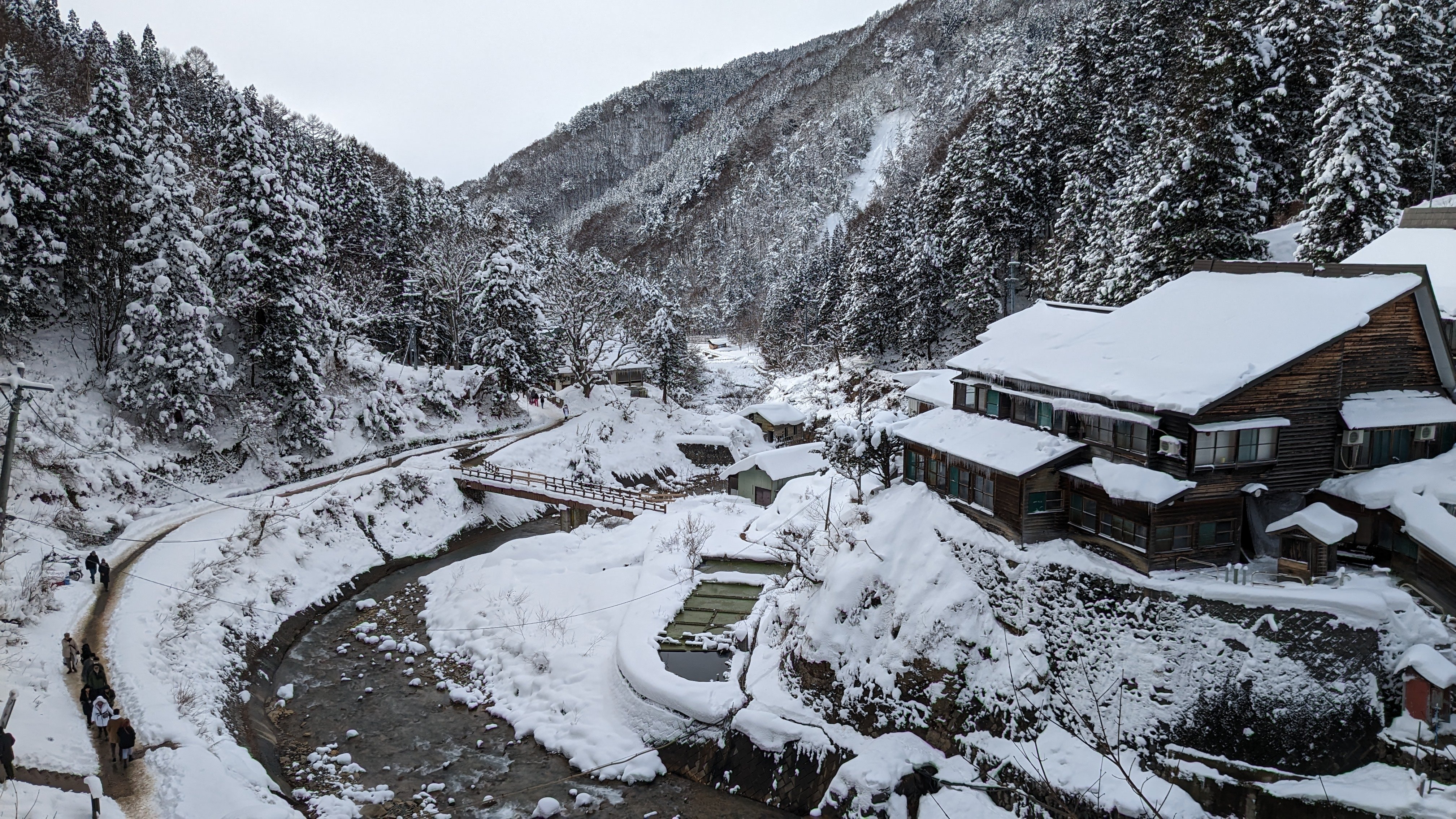 Tokyo Day Trip: Snow Monkeys & Beef Sukiyaki Lunch in Nagano