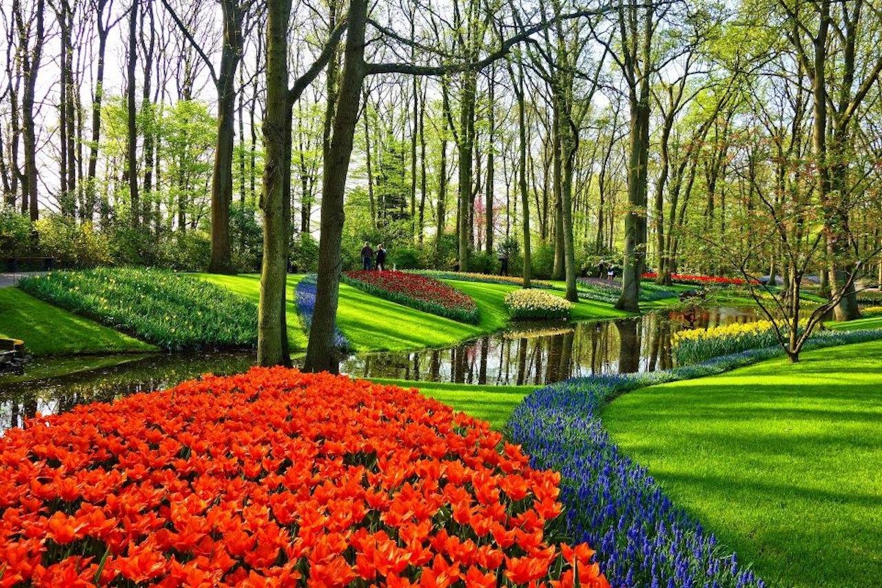 Private Keukenhof Gardens & Windmills Tour from Amsterdam