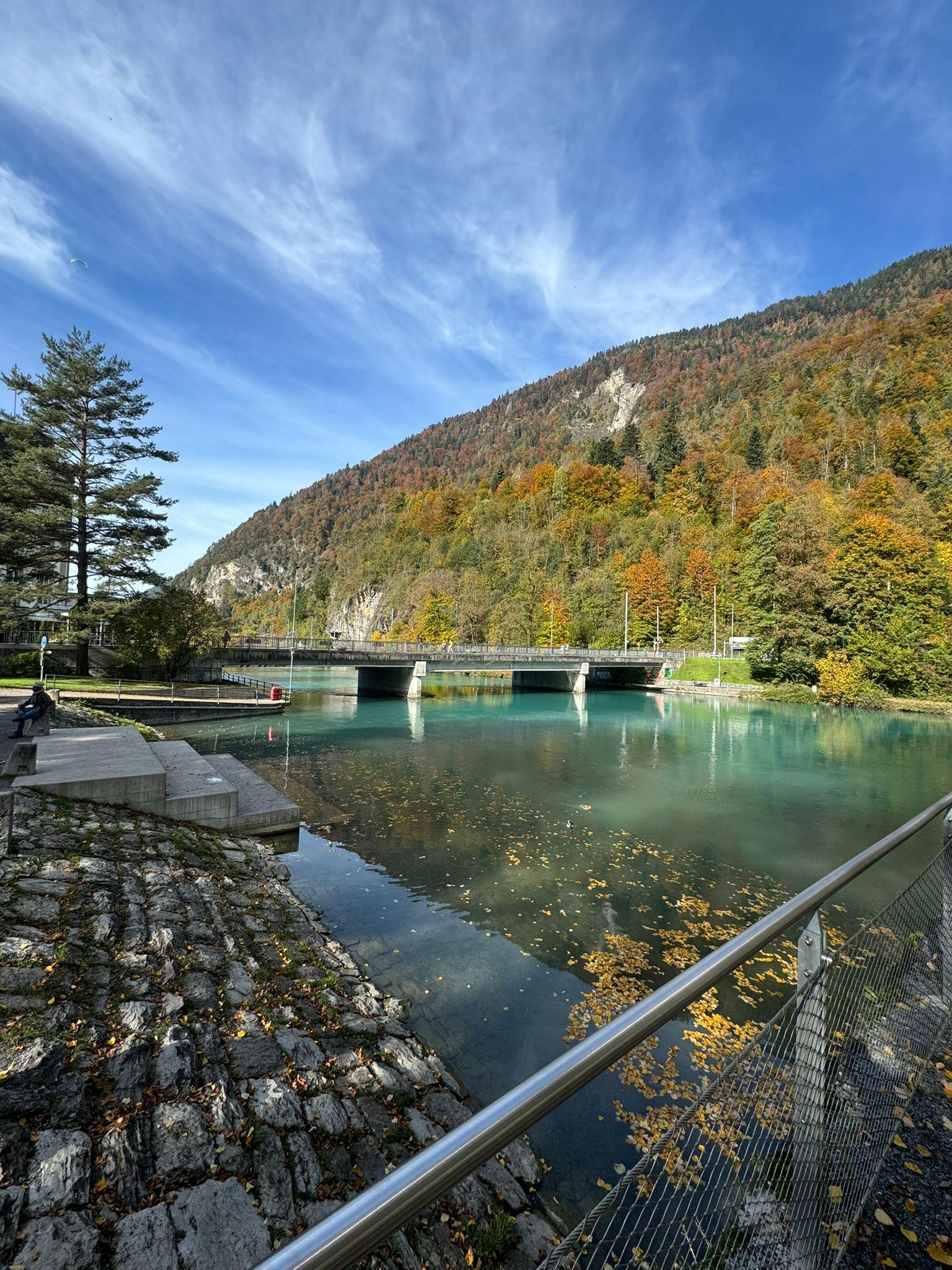 Lake Geneva & Medieval Gruyères Private Tour
