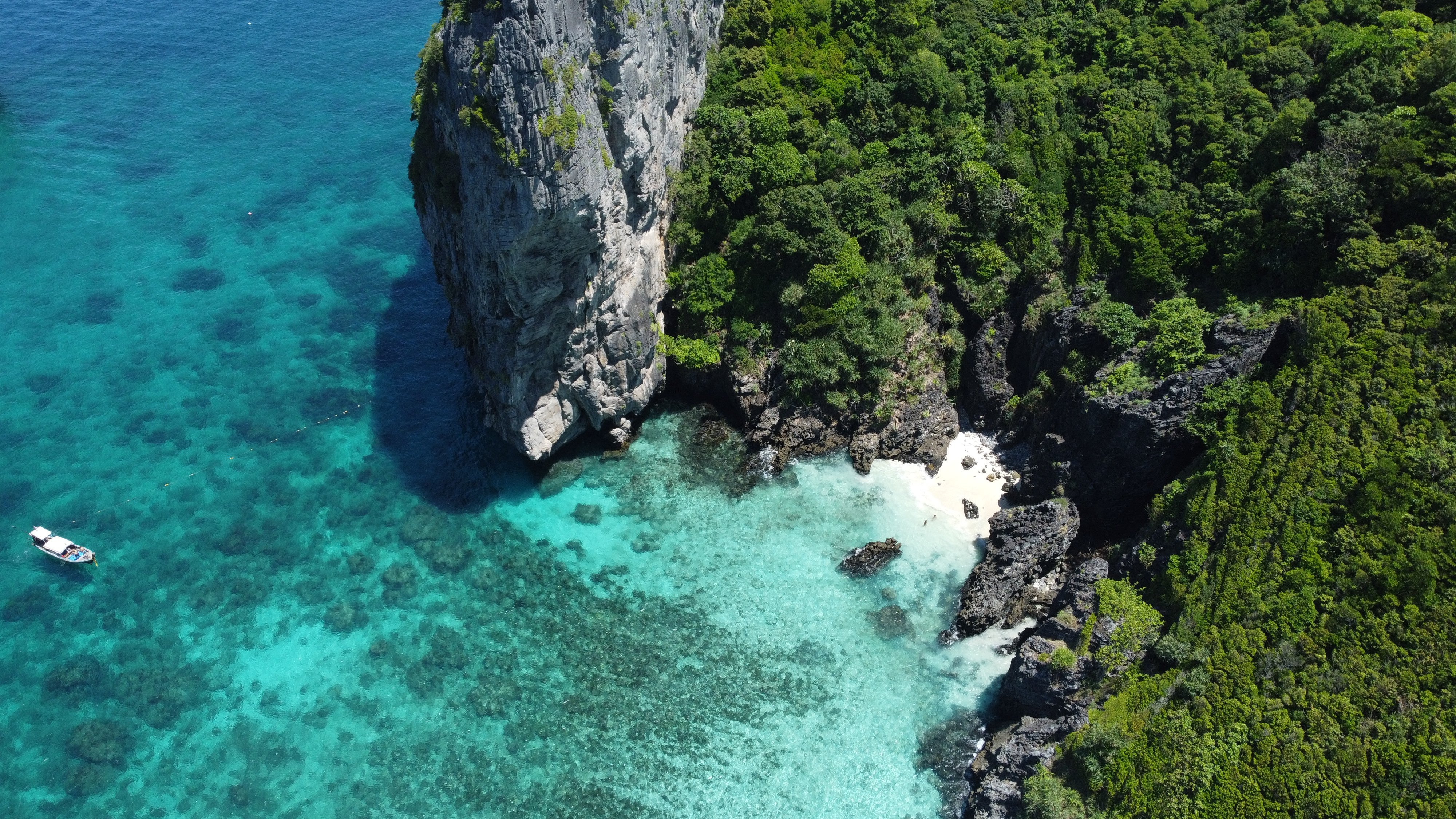 Phi Phi Islands Speedboat Adventure from Krabi with Buffet Lunch