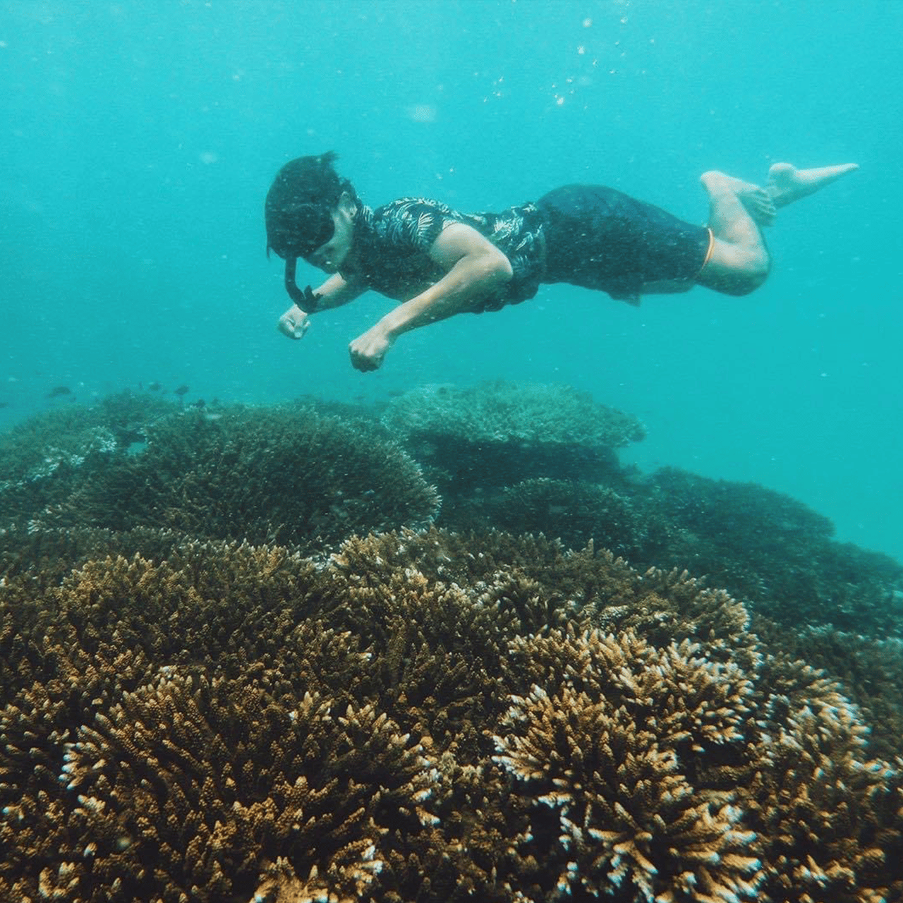 Phi Phi Islands Speedboat Adventure from Krabi with Buffet Lunch