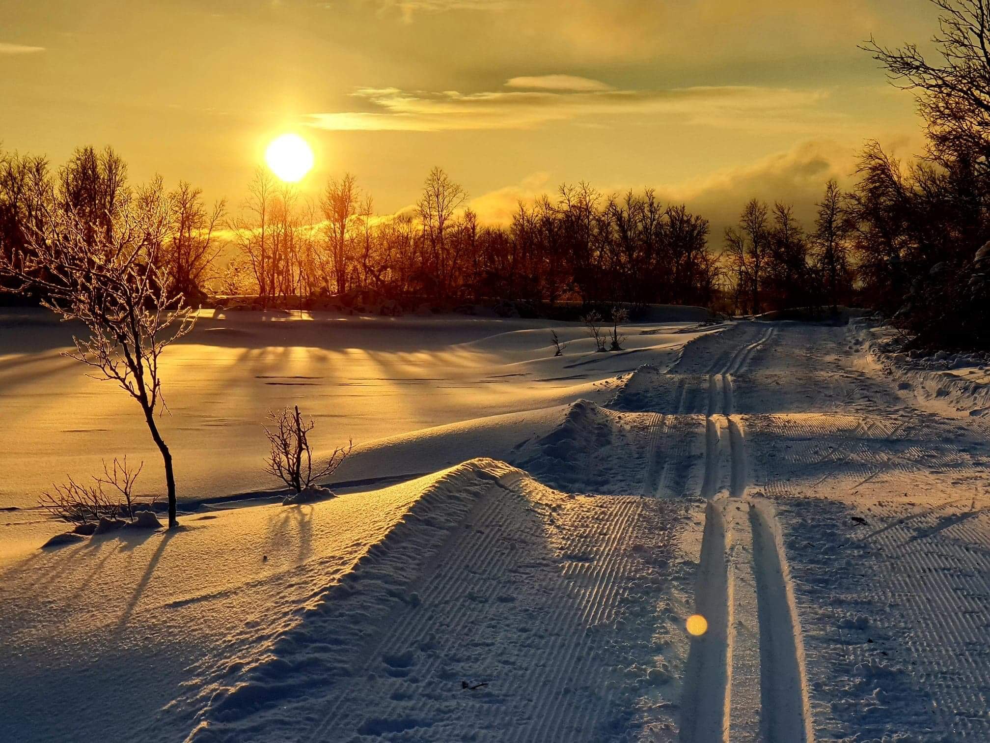 Cross-Country Skiing Course in Tromsø