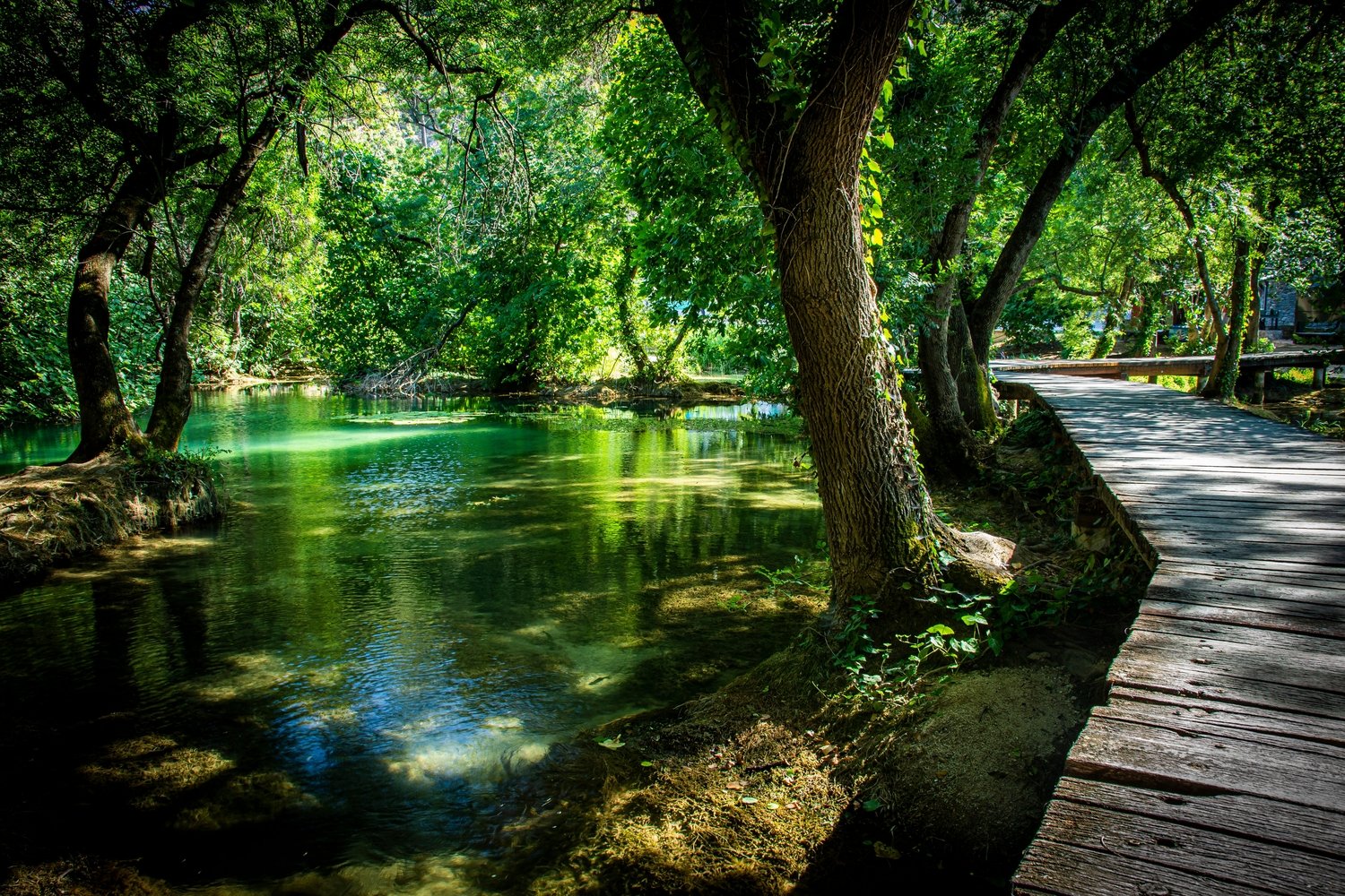 Split: Krka Waterfalls, Boat Cruise & Primosten Swim