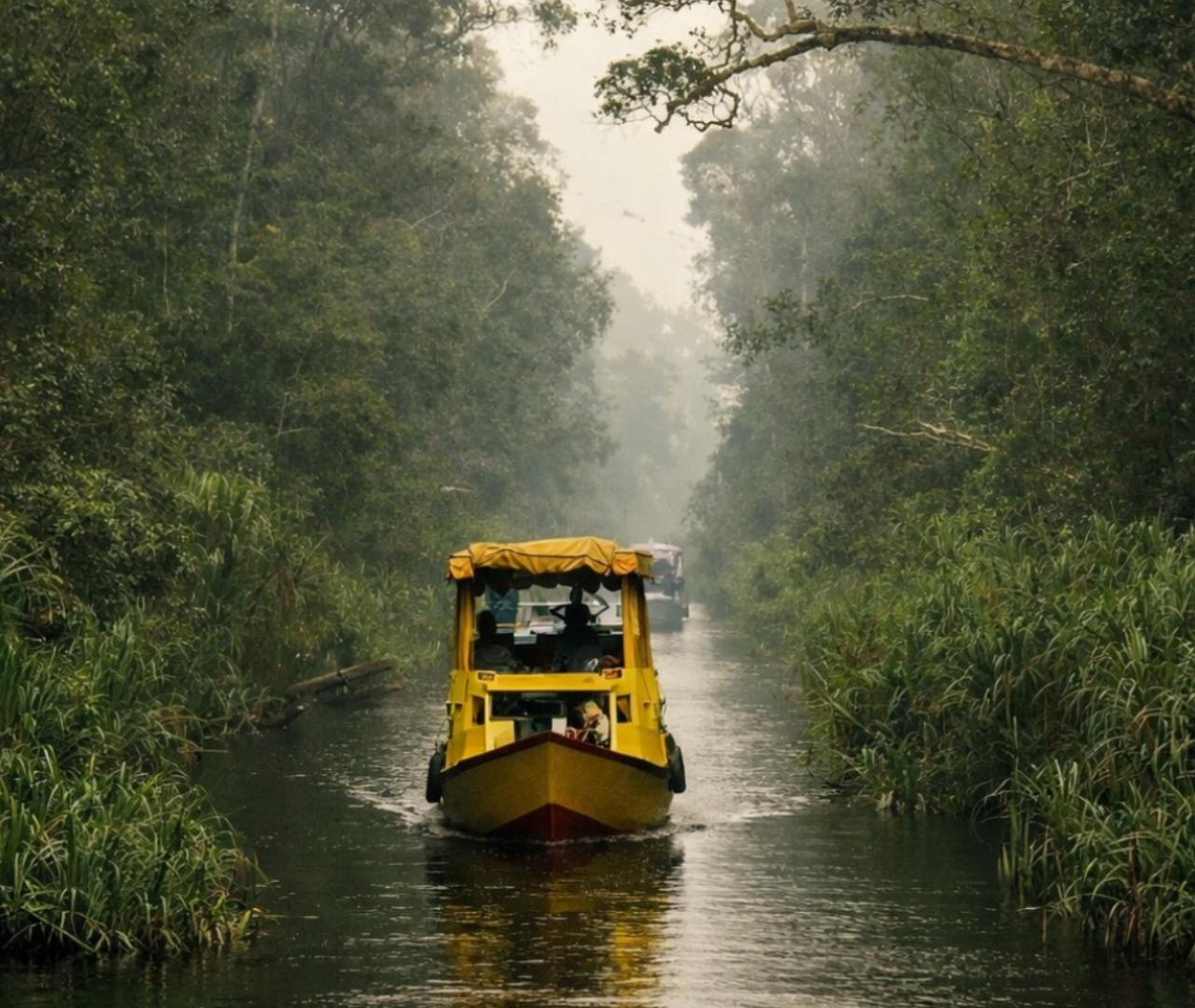 3-Day Borneo Orangutan River Cruise