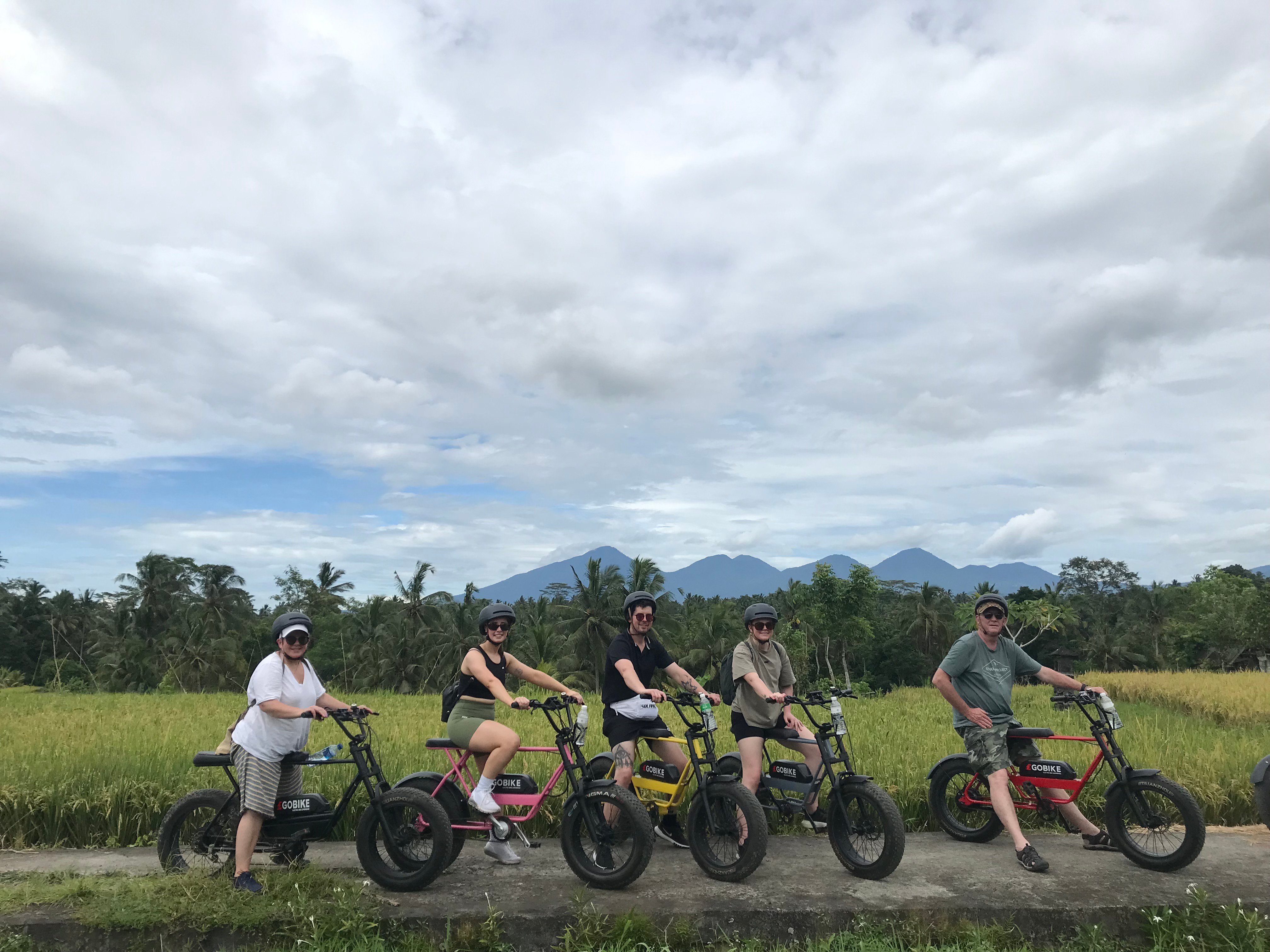 Ubud Rice Terraces & Villages Half-Day E-Bike Tour