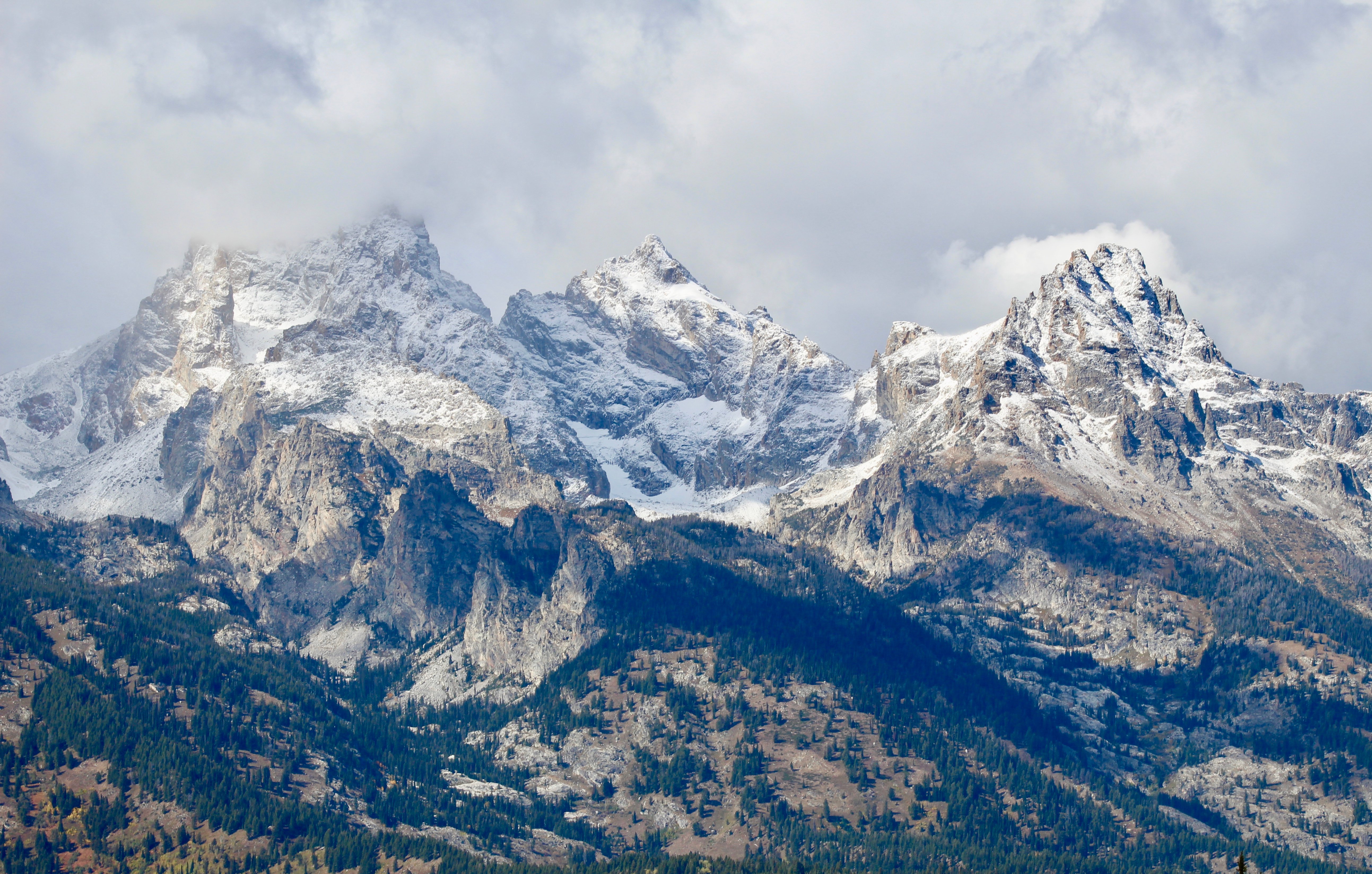 Grand Teton National Park Half-Day Expedition from Jackson