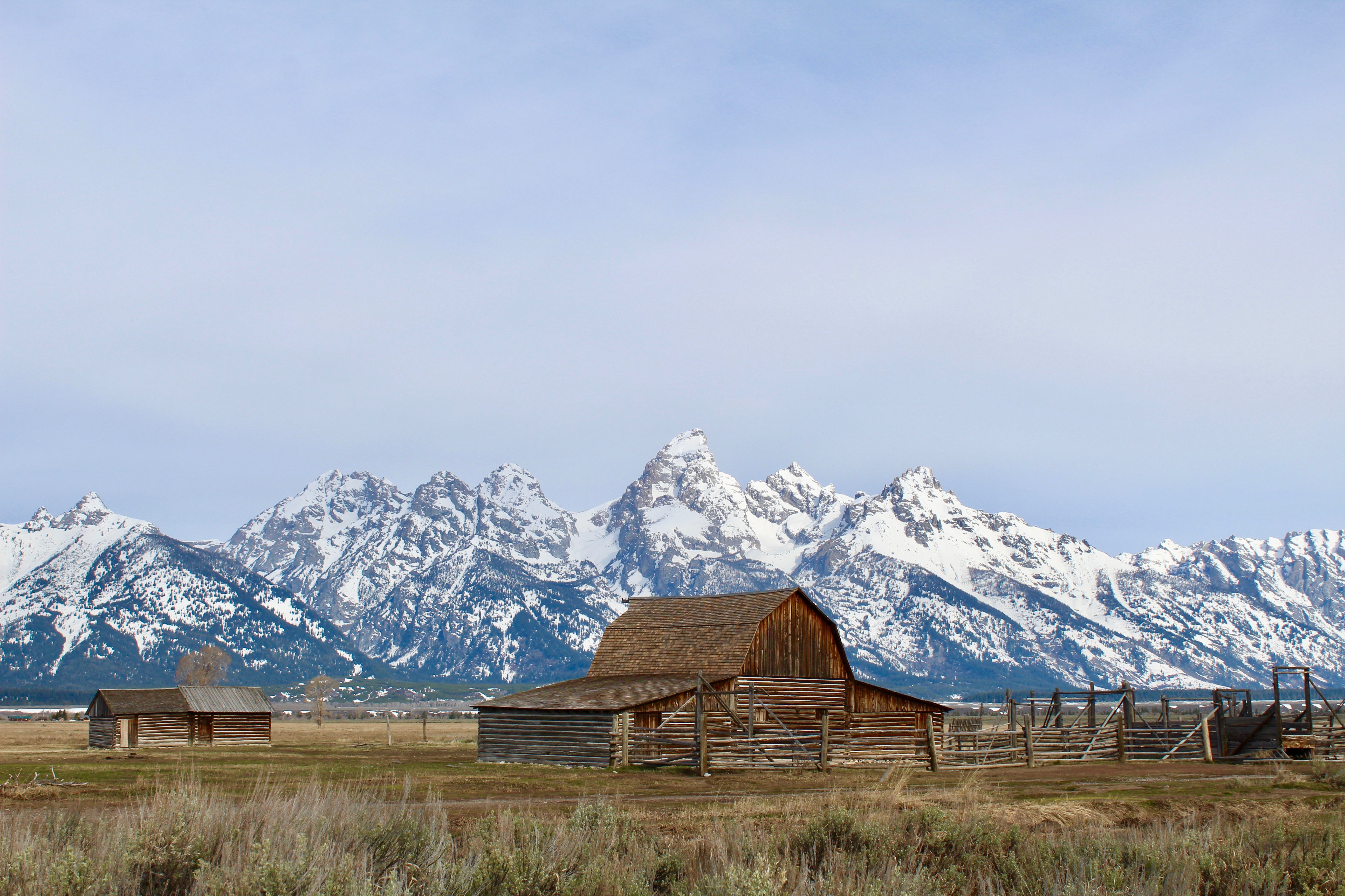 Grand Teton National Park Half-Day Expedition from Jackson