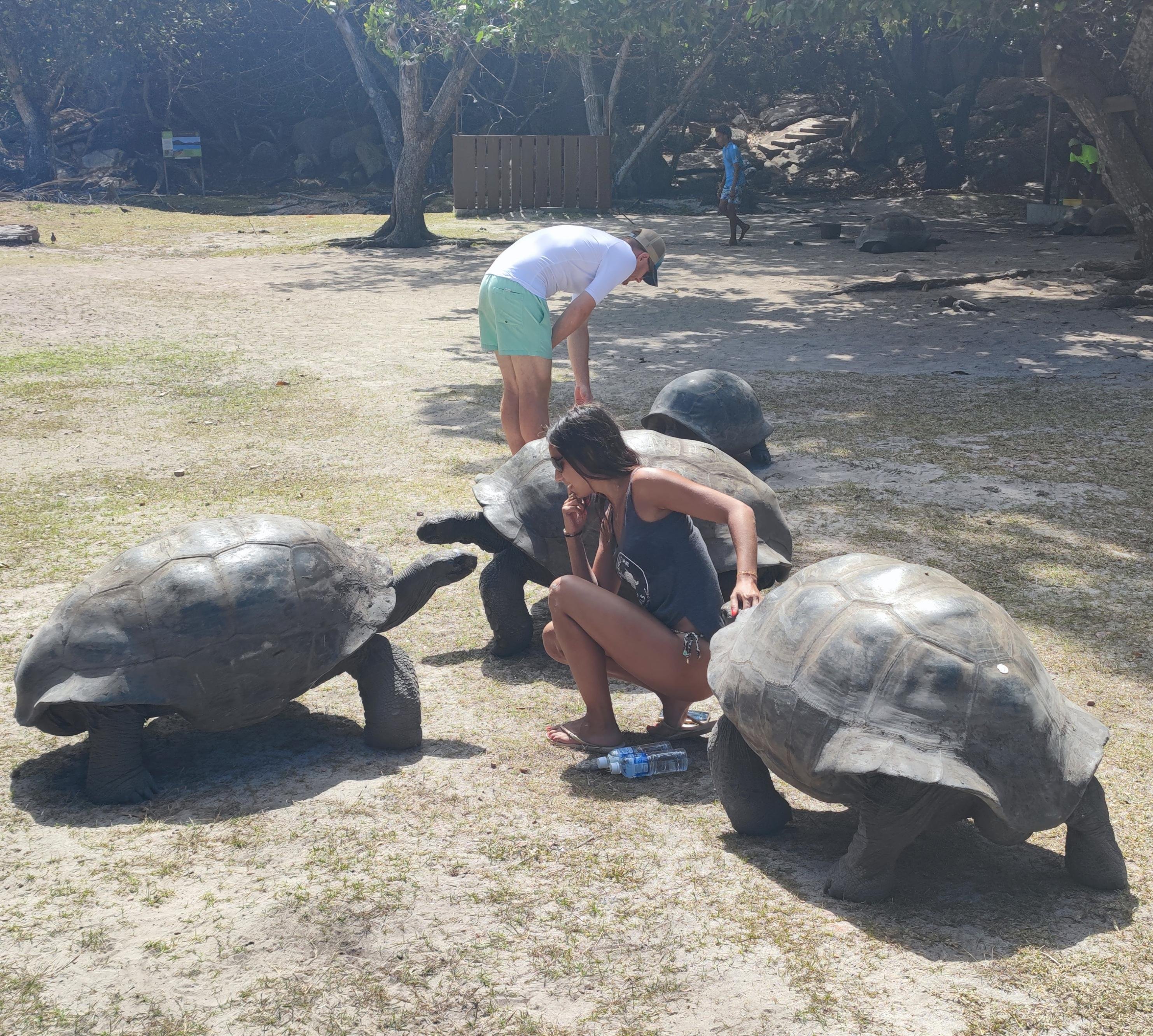 Curieuse Island Full-Day Tour: Nature Trail, Creole BBQ & Two Snorkel Stops