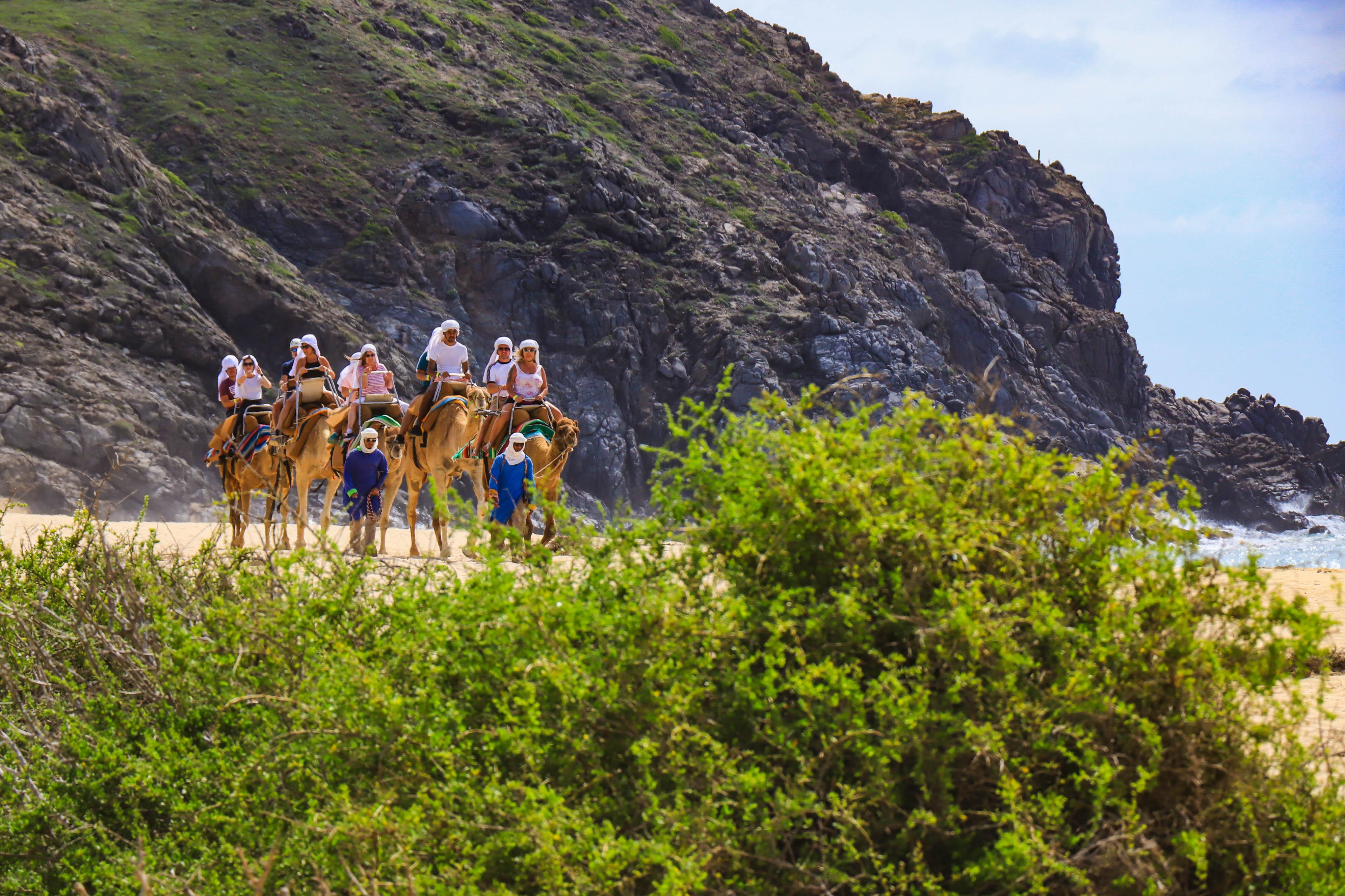 Camel riders travelling beside the Pacific coast during the featured Cabo combo