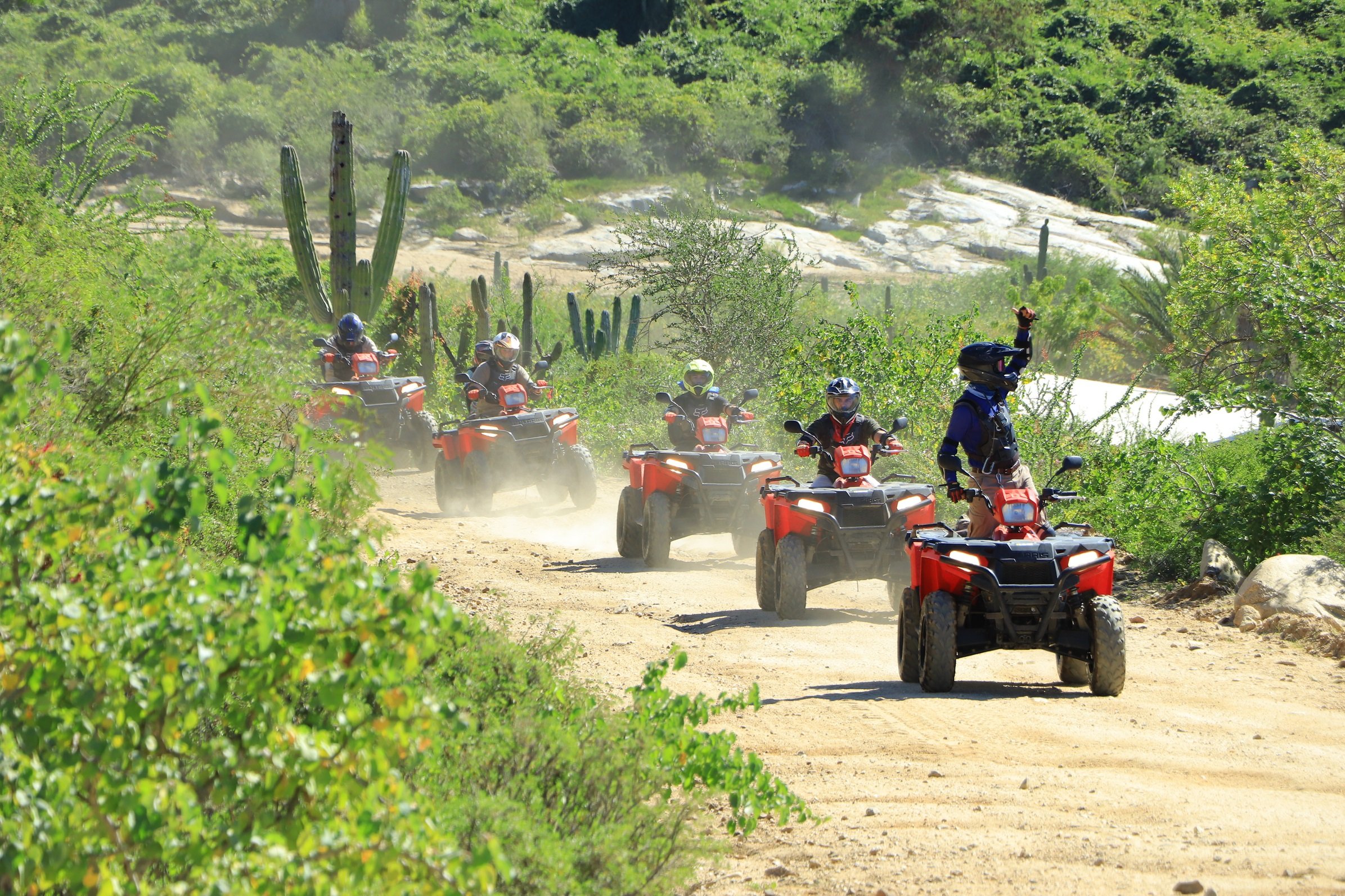 ATV riders following a dusty Baja desert trail