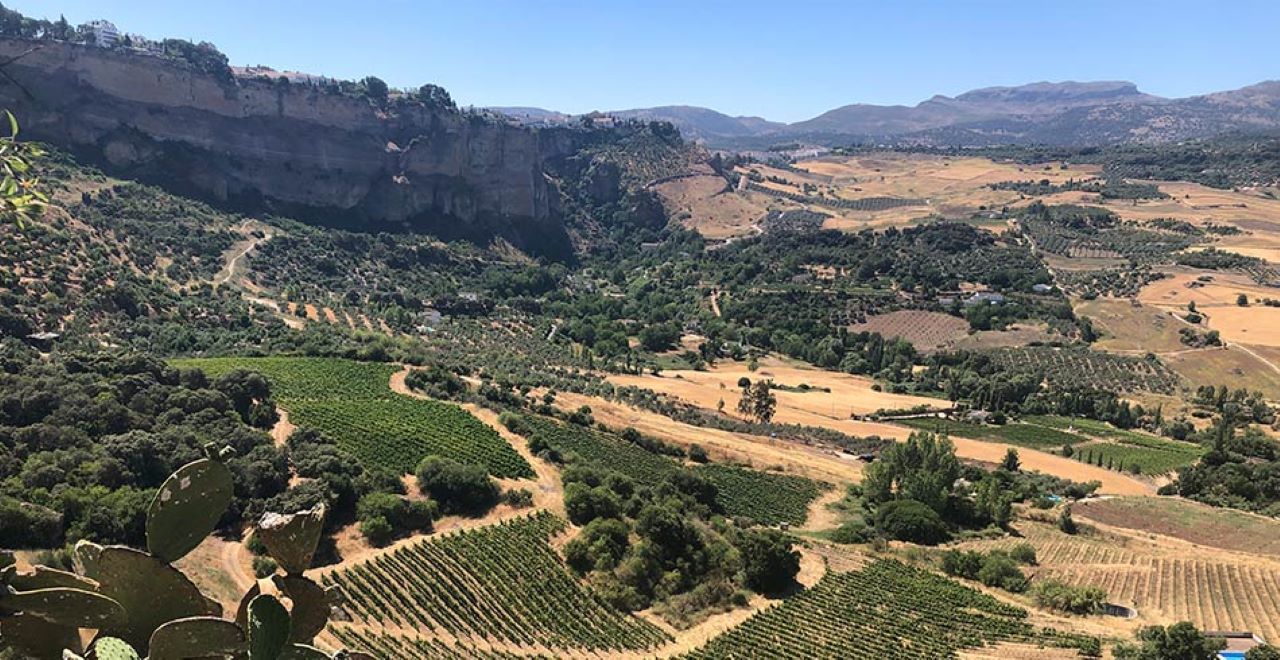 Ronda Mountains & Wine Tasting Day Trip from Marbella