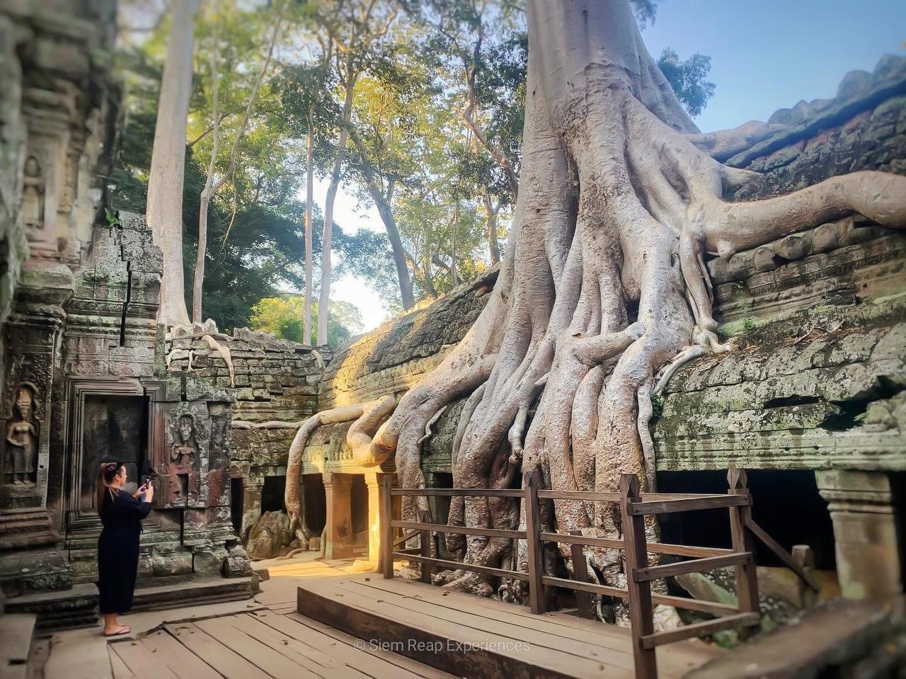 Siem Reap: Sunrise Angkor Wat & Ancient Temples Small-Group Tour