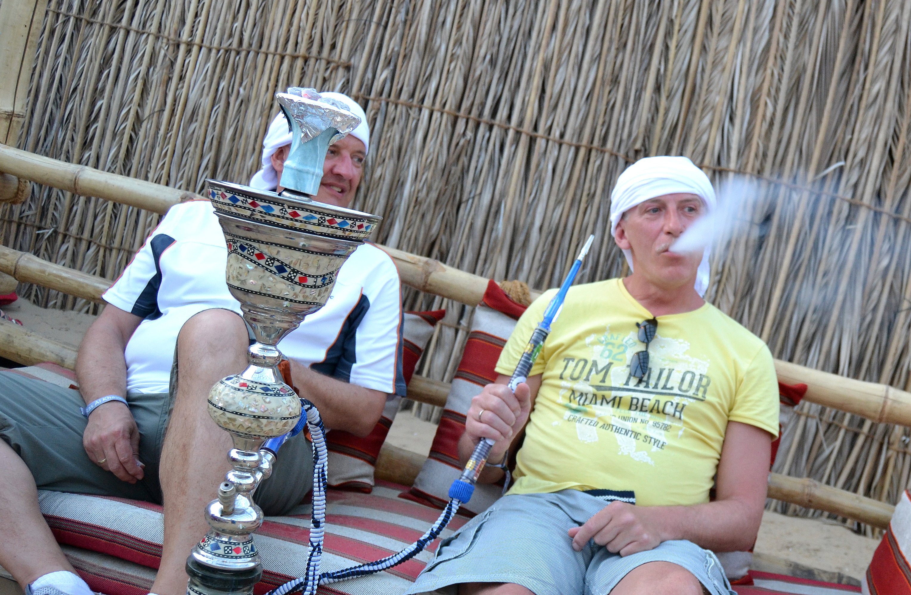 Abu Dhabi Desert Safari: Dune Bashing, Camel Ride & BBQ Dinner