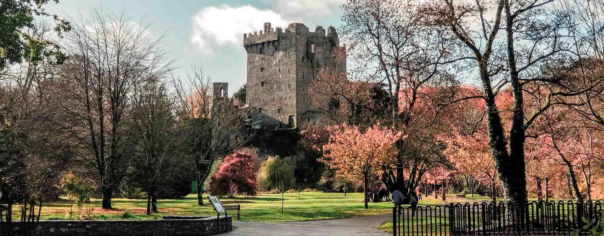 County Cork Highlights Tour: Blarney Castle, Kinsale & Cobh