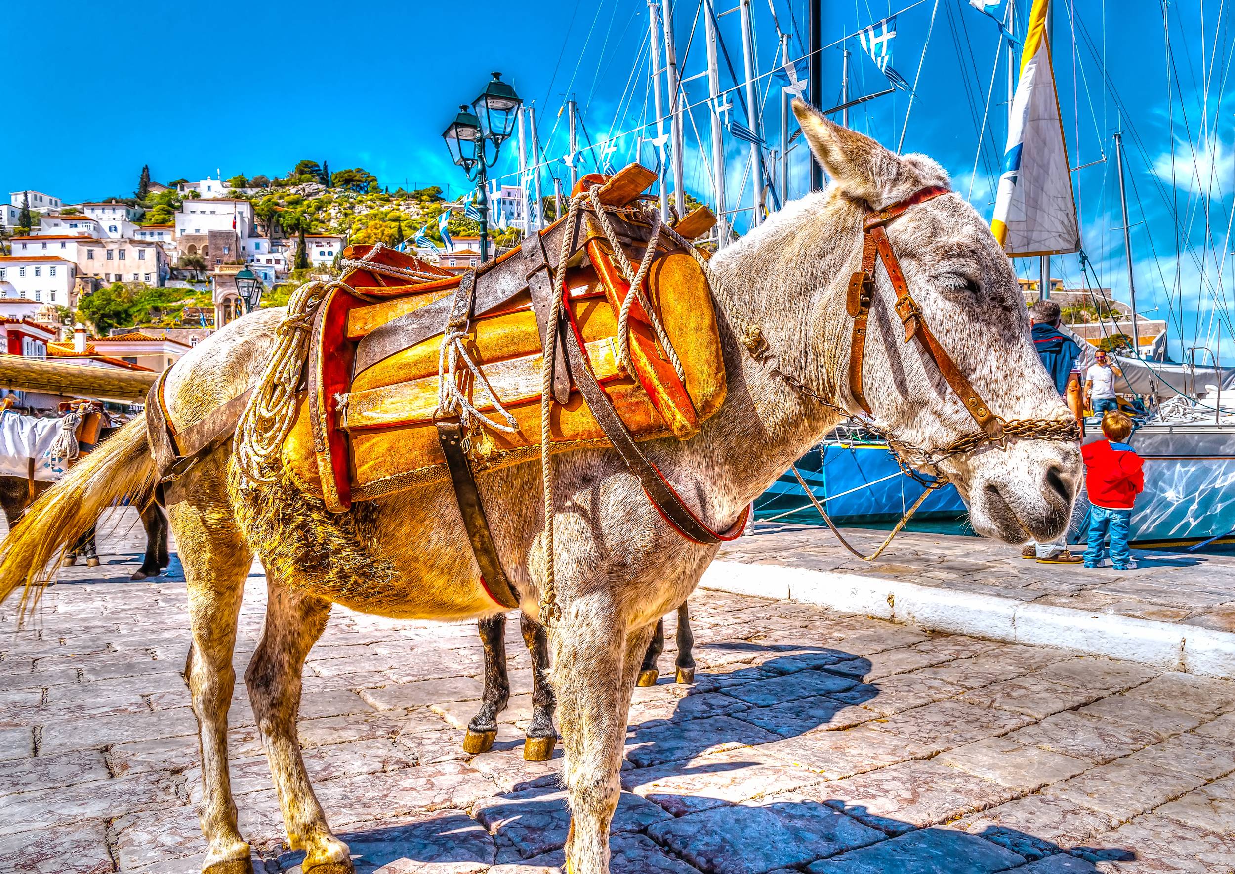 From Athens: Saronic Islands Full-Day Cruise with VIP Seats