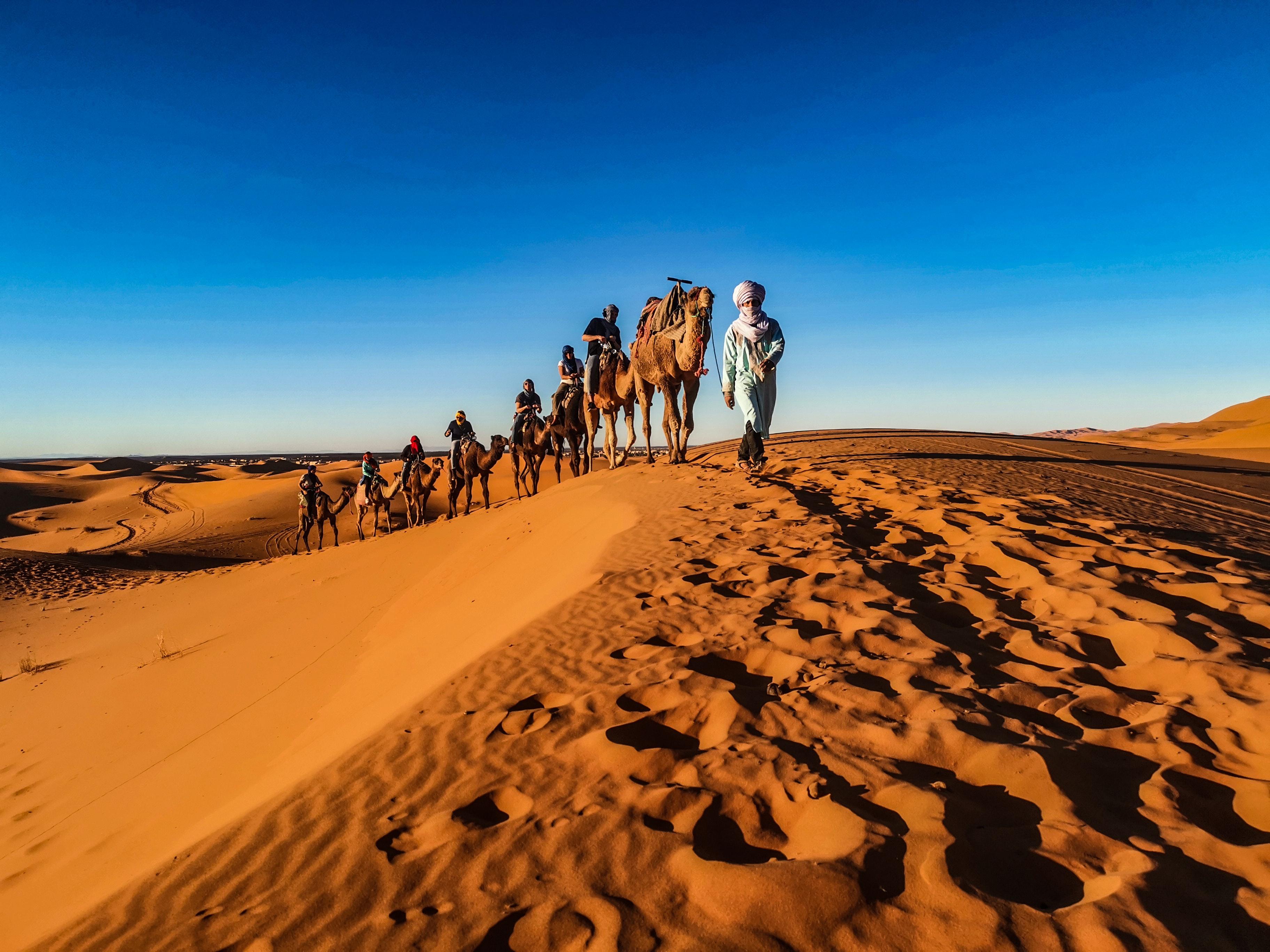Doha Desert Safari: Dune Bashing, Sandboarding & Inland Sea