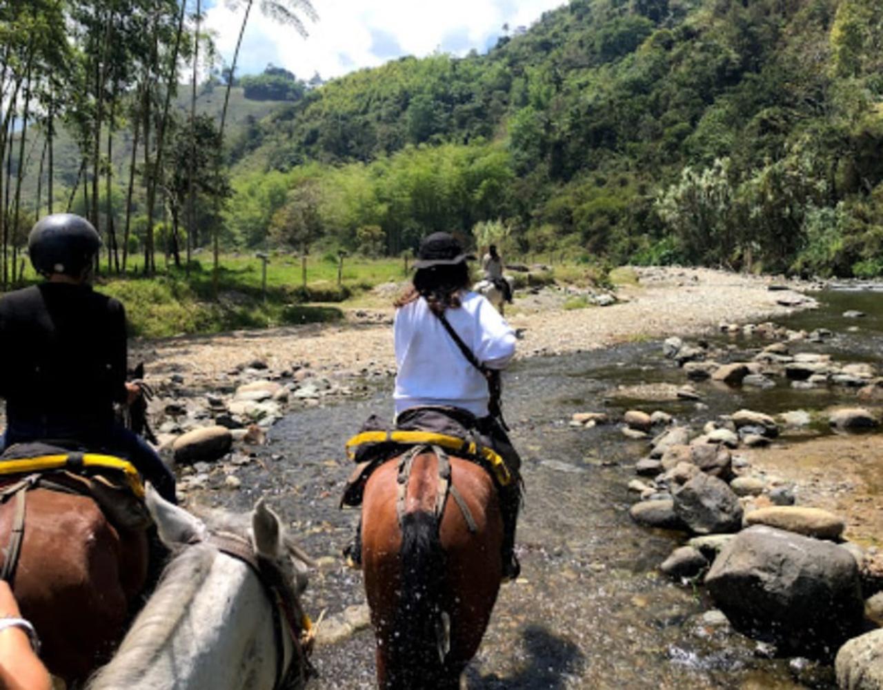 Cocora Valley & Salento Private Horseback Riding Tour