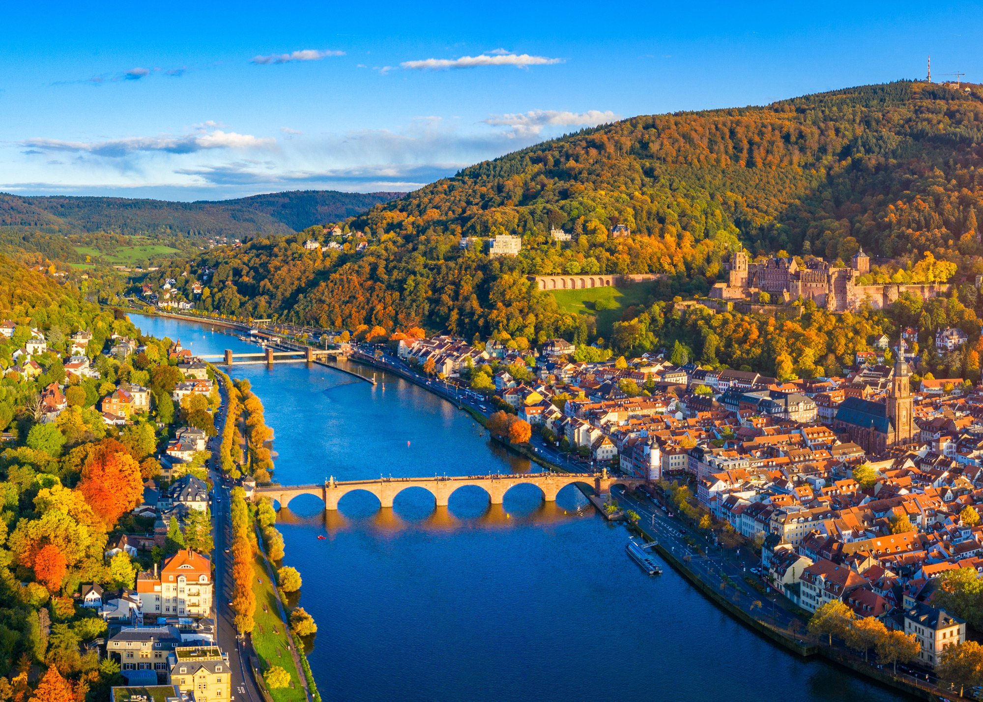 Neckar River Sightseeing Cruise with Complimentary Beverage
