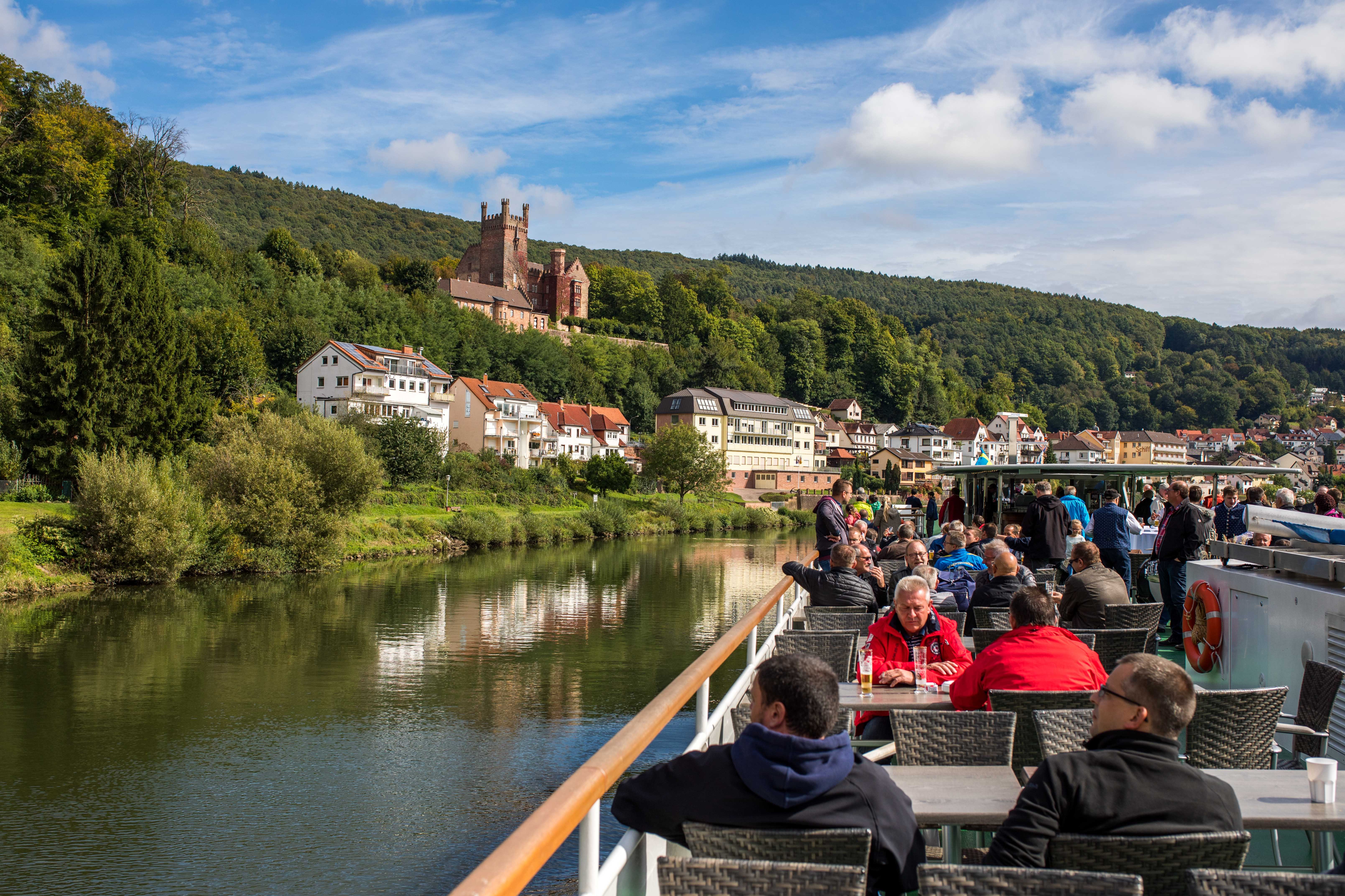 Neckar Valley Castle Cruise with Unlimited Drinks