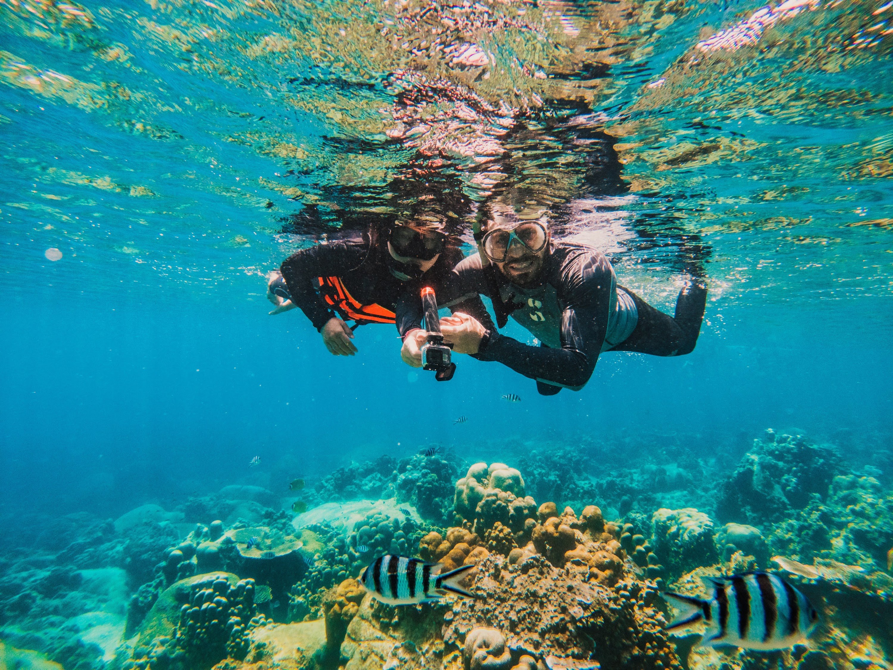 Koh Samui: Snorkeling Adventure at Koh Tao & Nangyuan