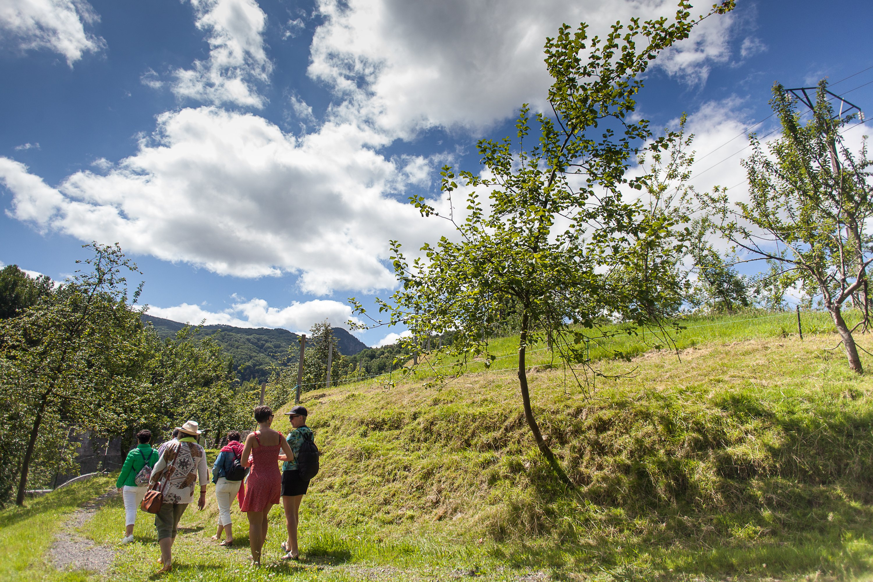San Sebastián Basque Cider House Tour with Traditional Farmhouse Lunch