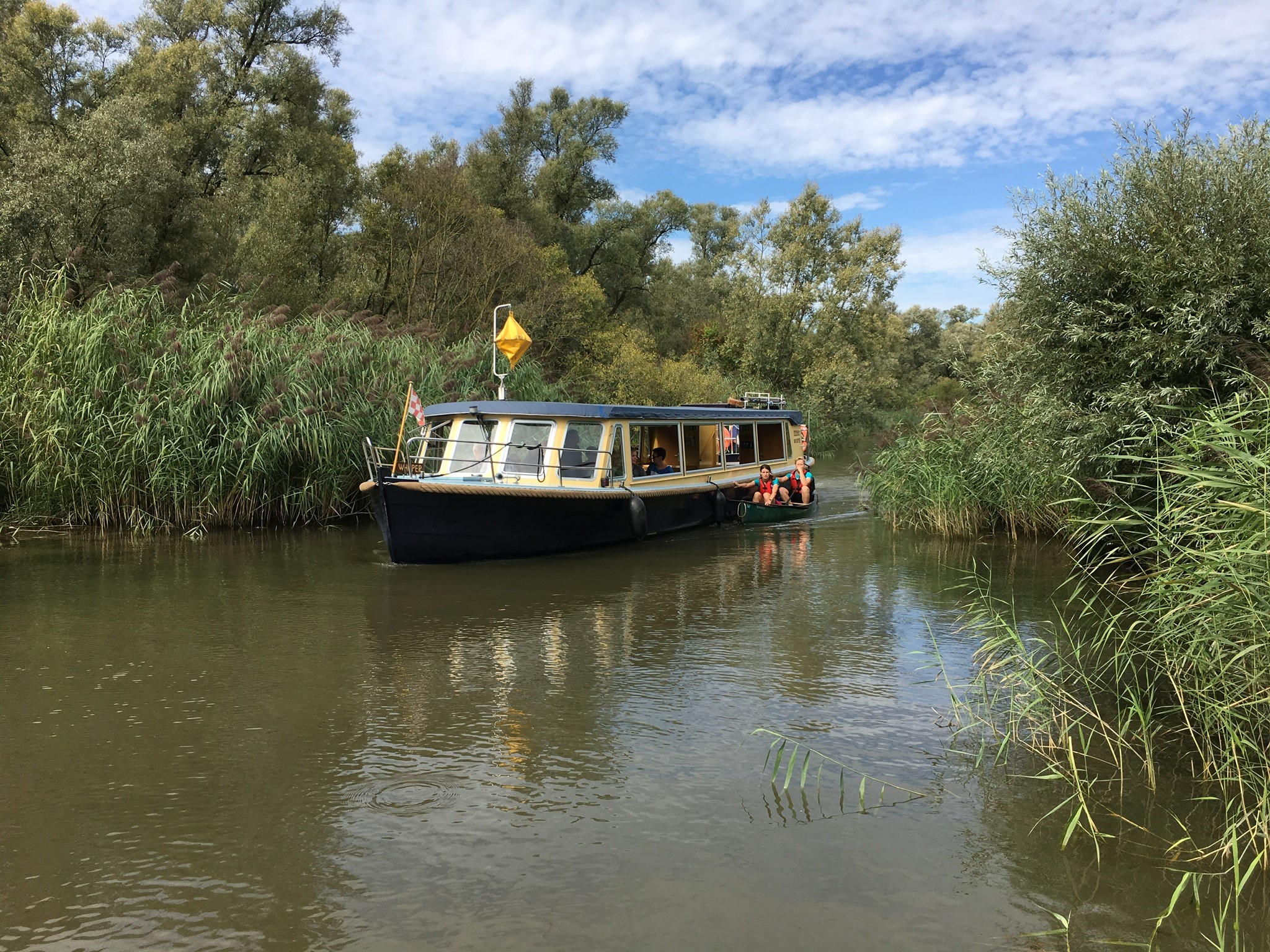 Biesbosch National Park Boat Tour & Museum Ticket