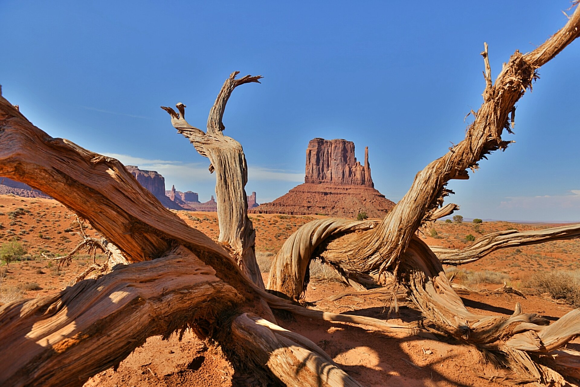 Monument Valley: 2.5-Hour Scenic Backcountry Expedition