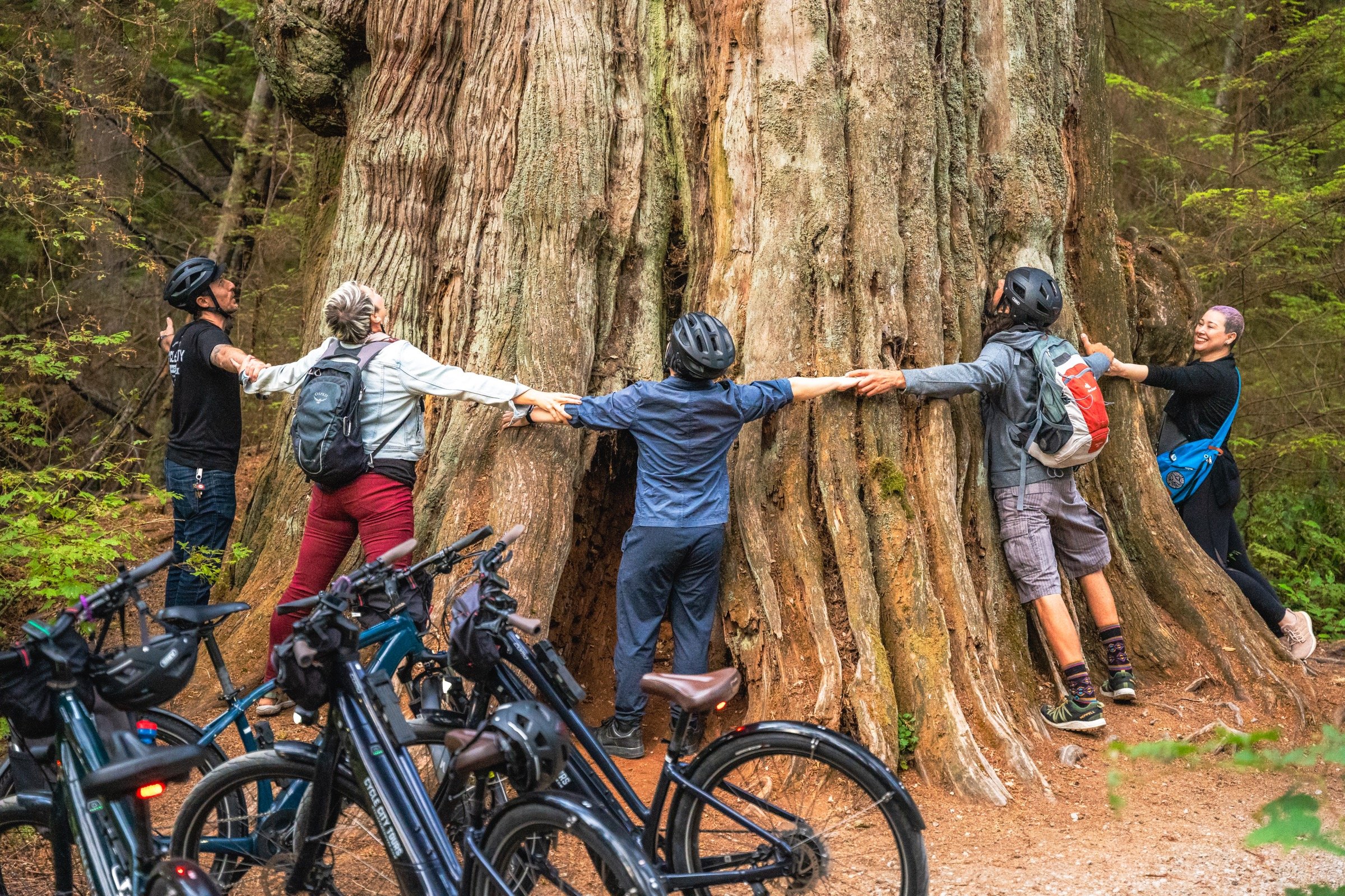 Stanley Park Guided Bicycle Tour