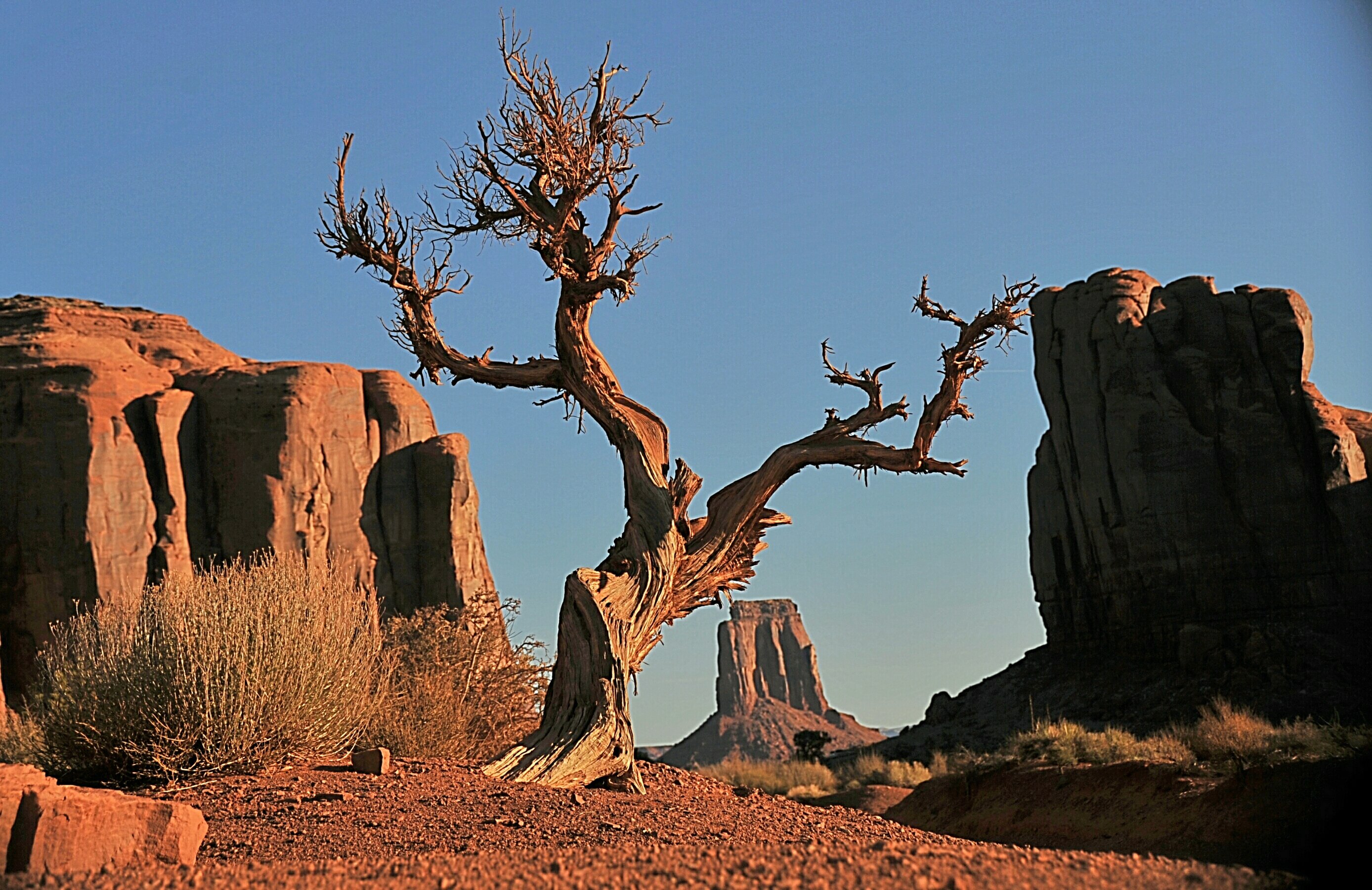 Monument Valley Scenic Open-Air 90-Minute Excursion