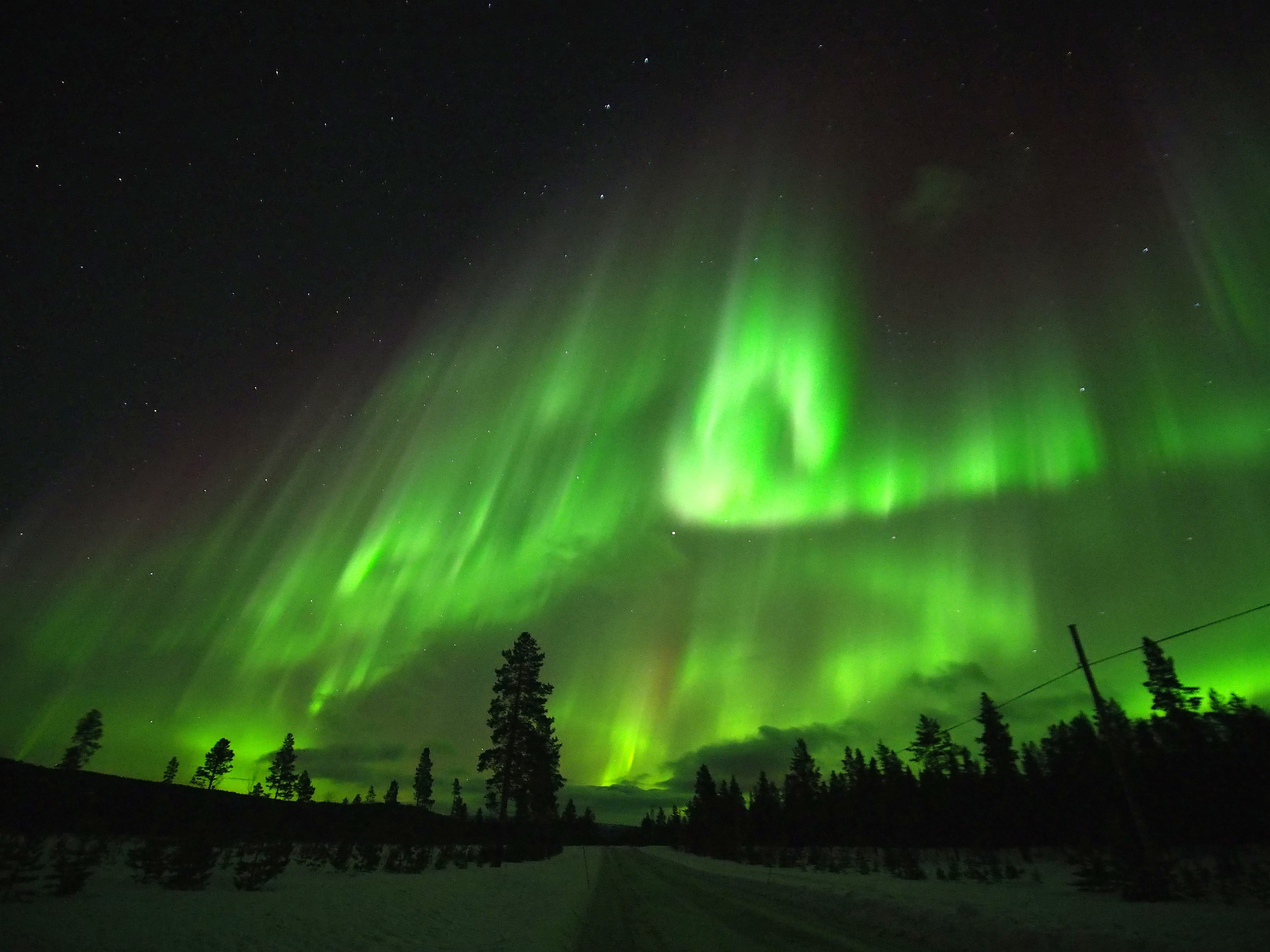 Northern lights tour, image 8