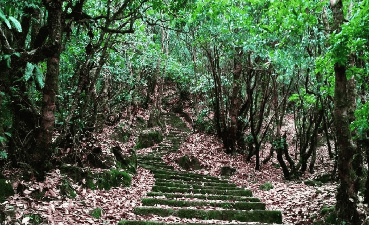 Shivapuri Nagarjun National Park 4x4 Wildlife Safari