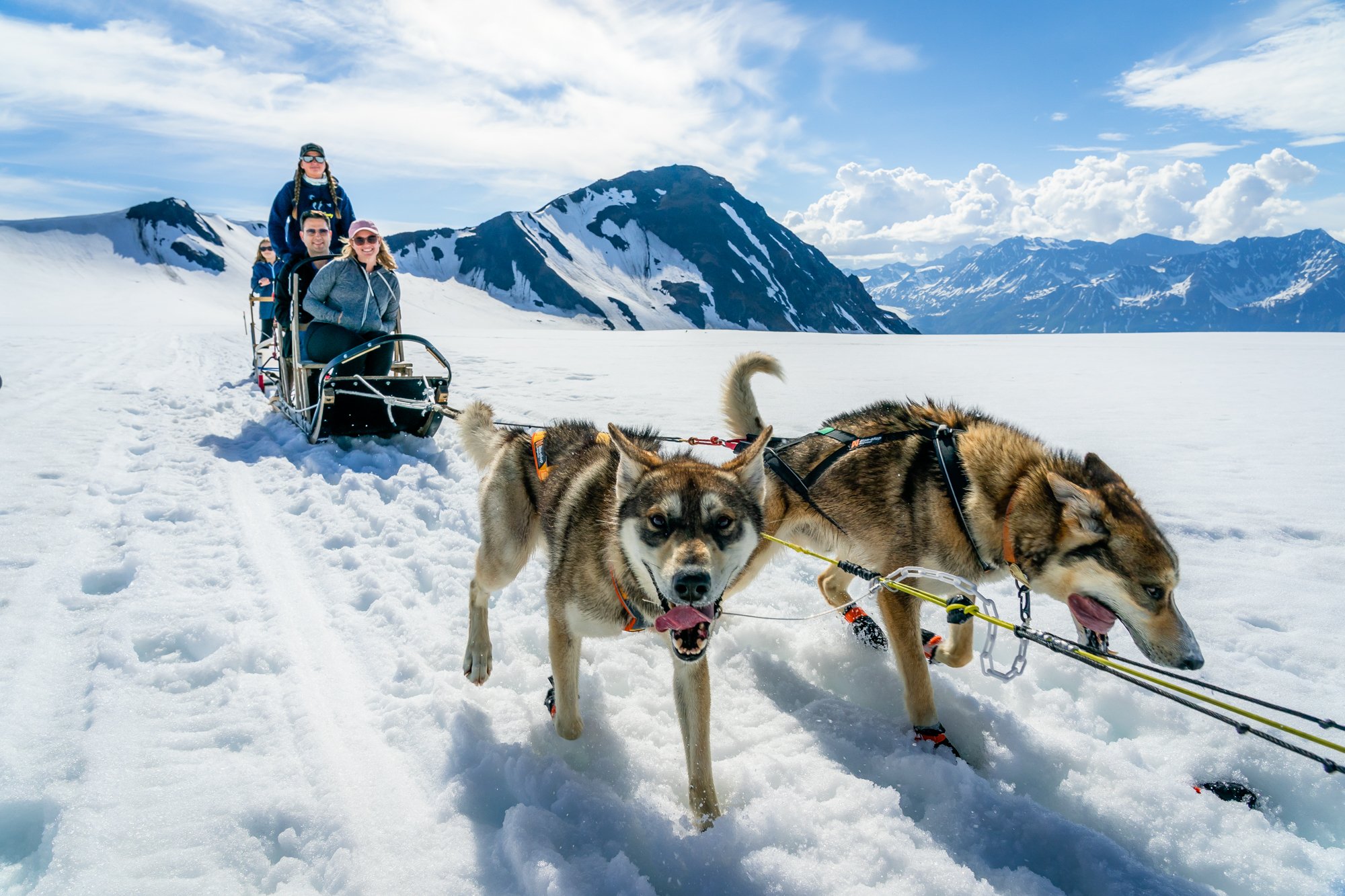 Helicopter Flight & Glacier Dog Sledding Adventure