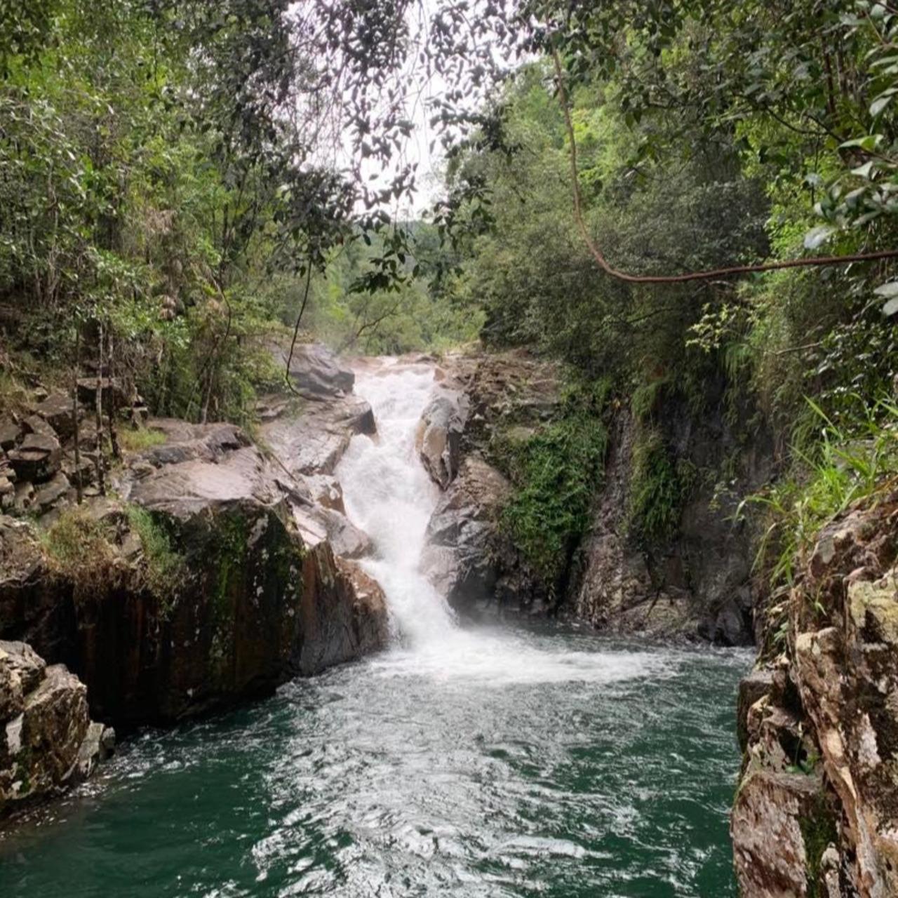 Finch Hatton Gorge Hike & Platypus Spotting Adventure