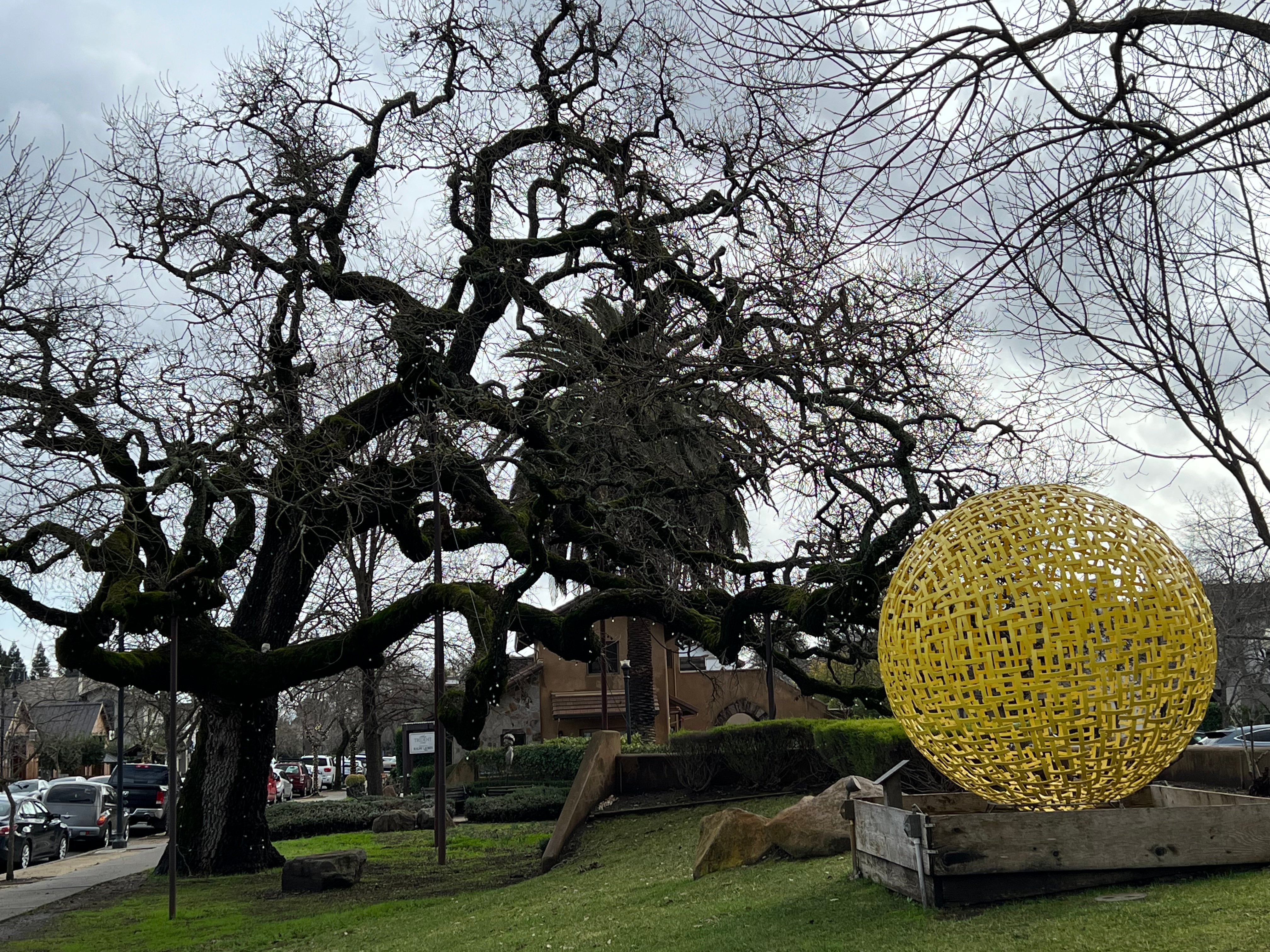 Napa Valley wine tour for couples — vineyards and tasting rooms — image 9