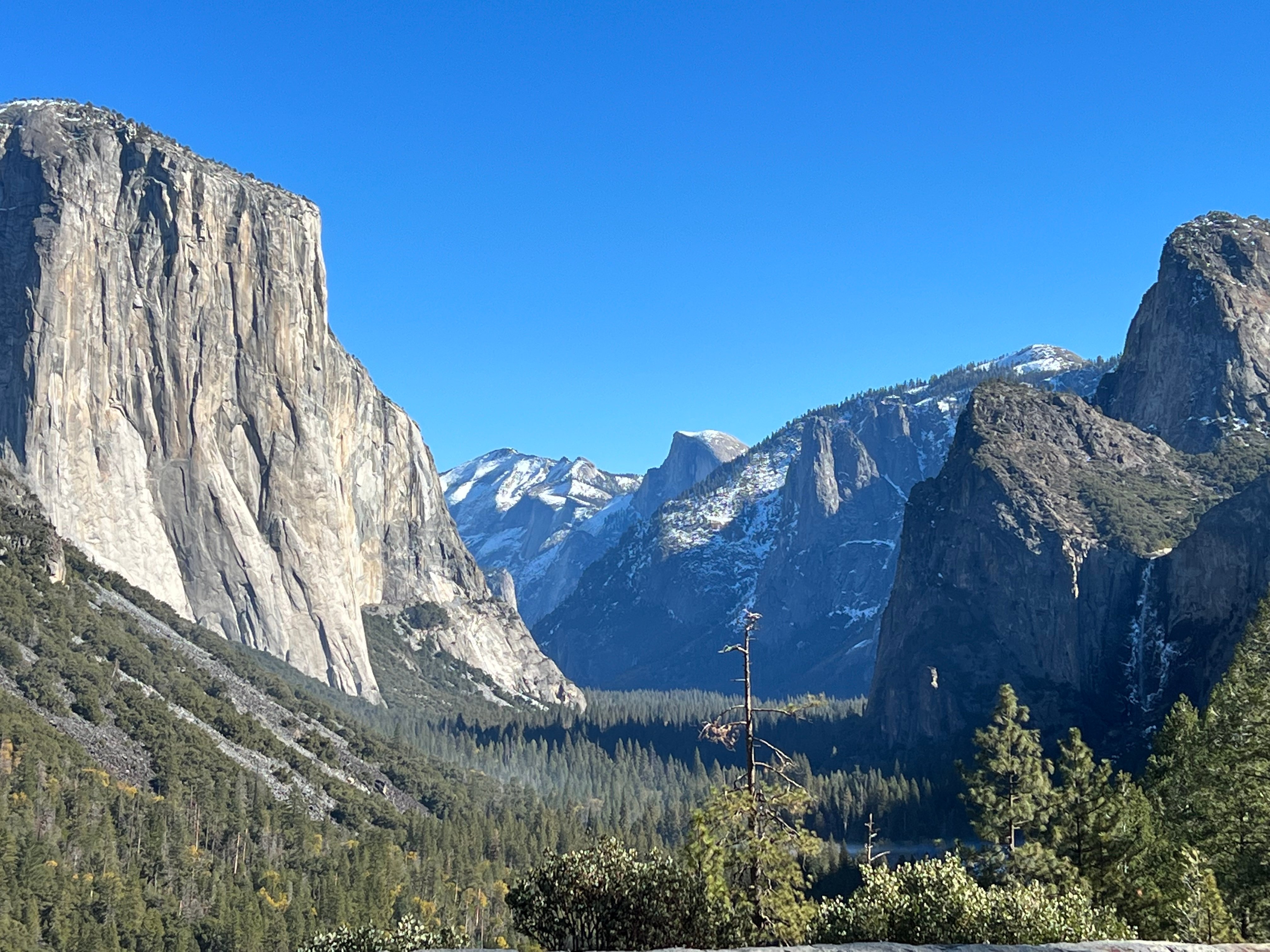 Private Yosemite Day Trip from San Francisco Bay Area