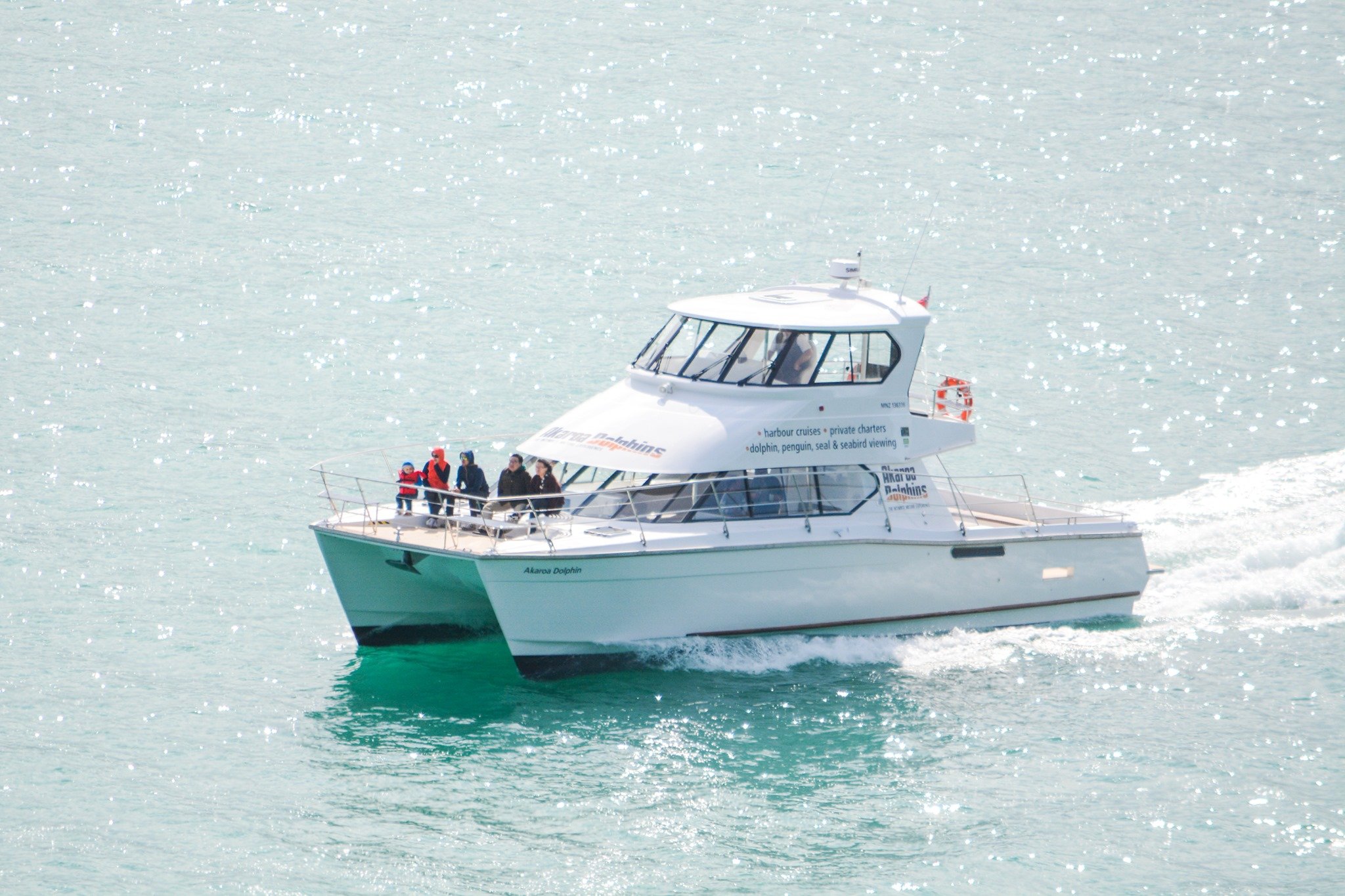 South Island tour photo — image 1
