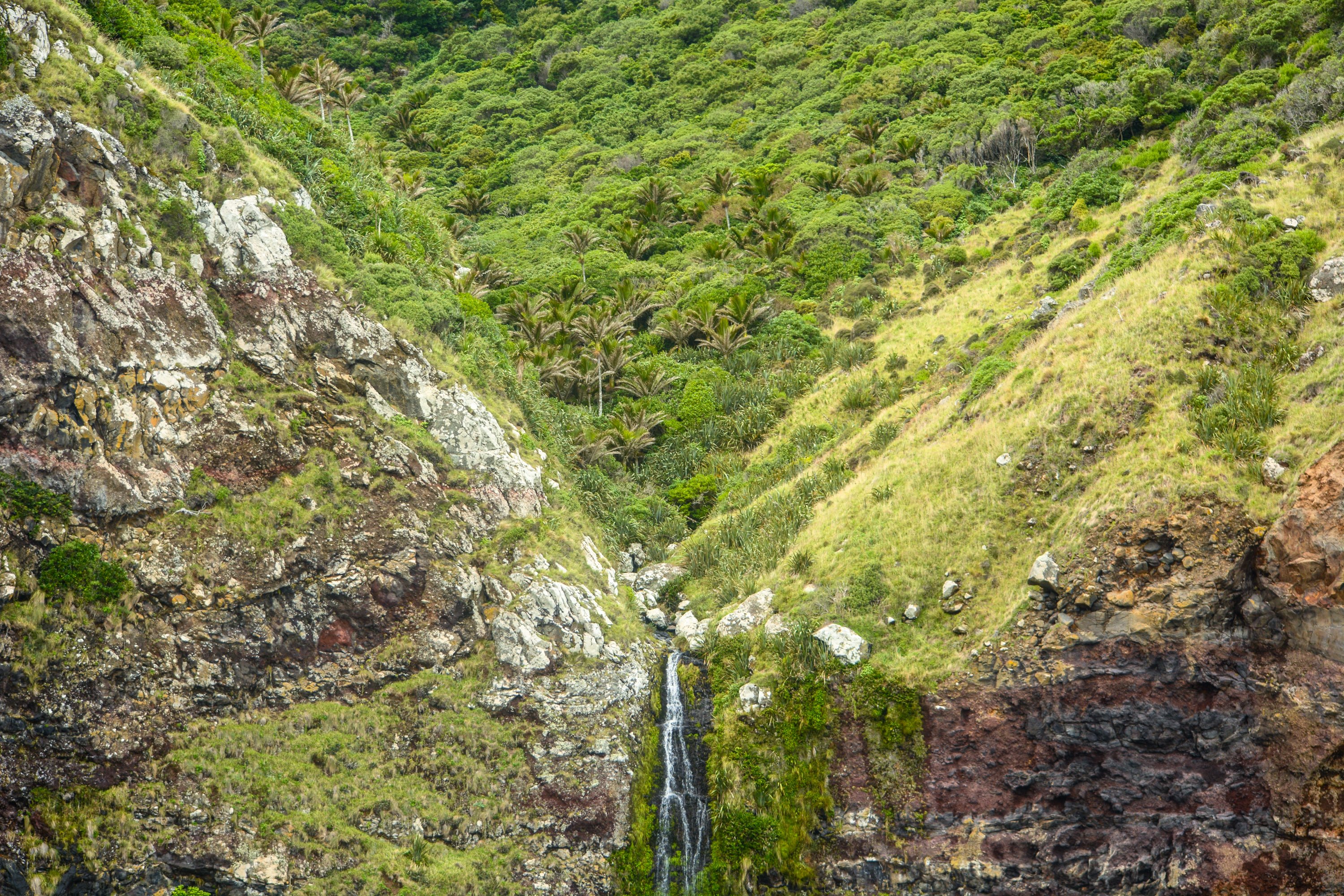 South Island tour photo — image 5